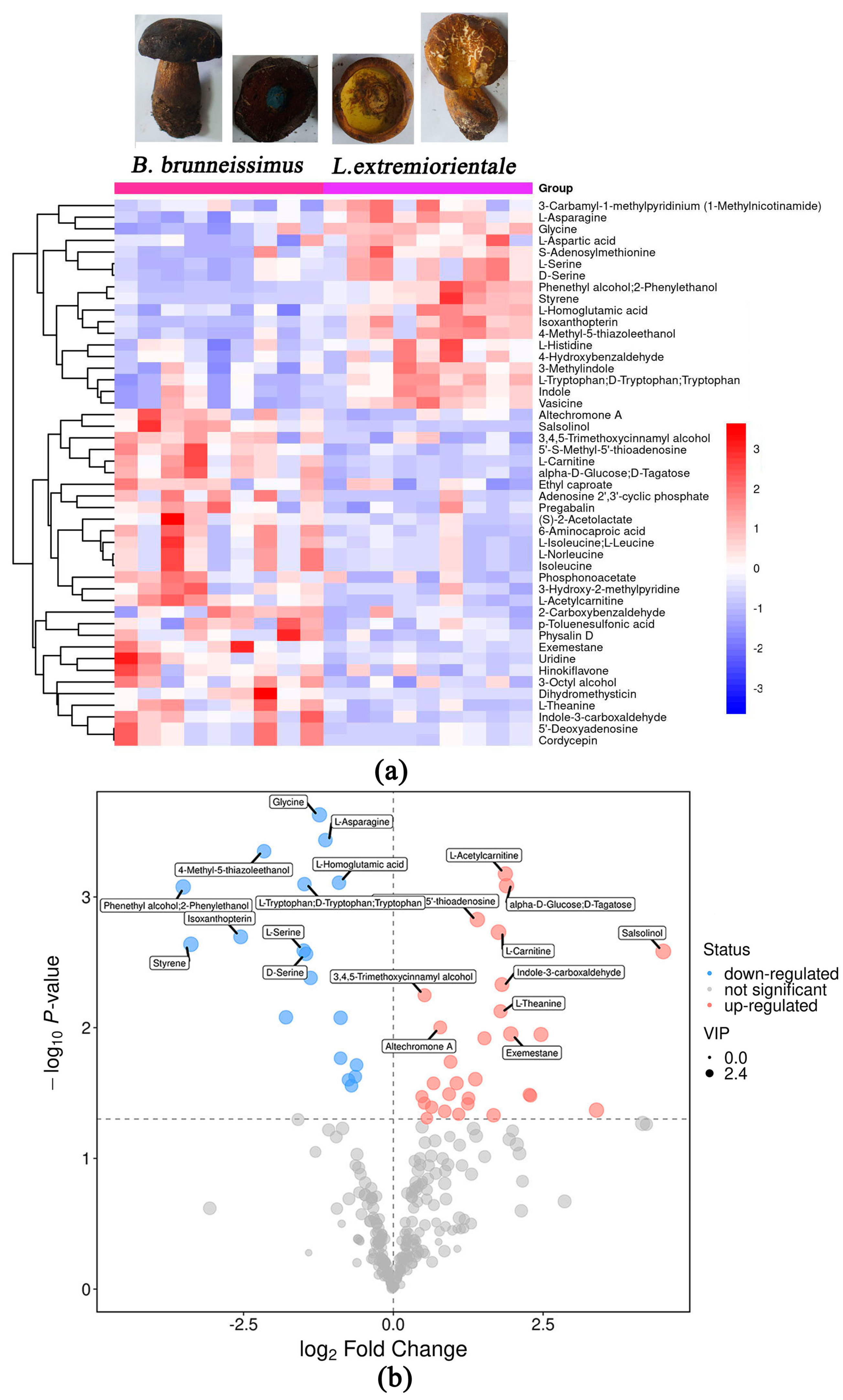 Foods 12 02728 g003 Foods 12 02728 g003
