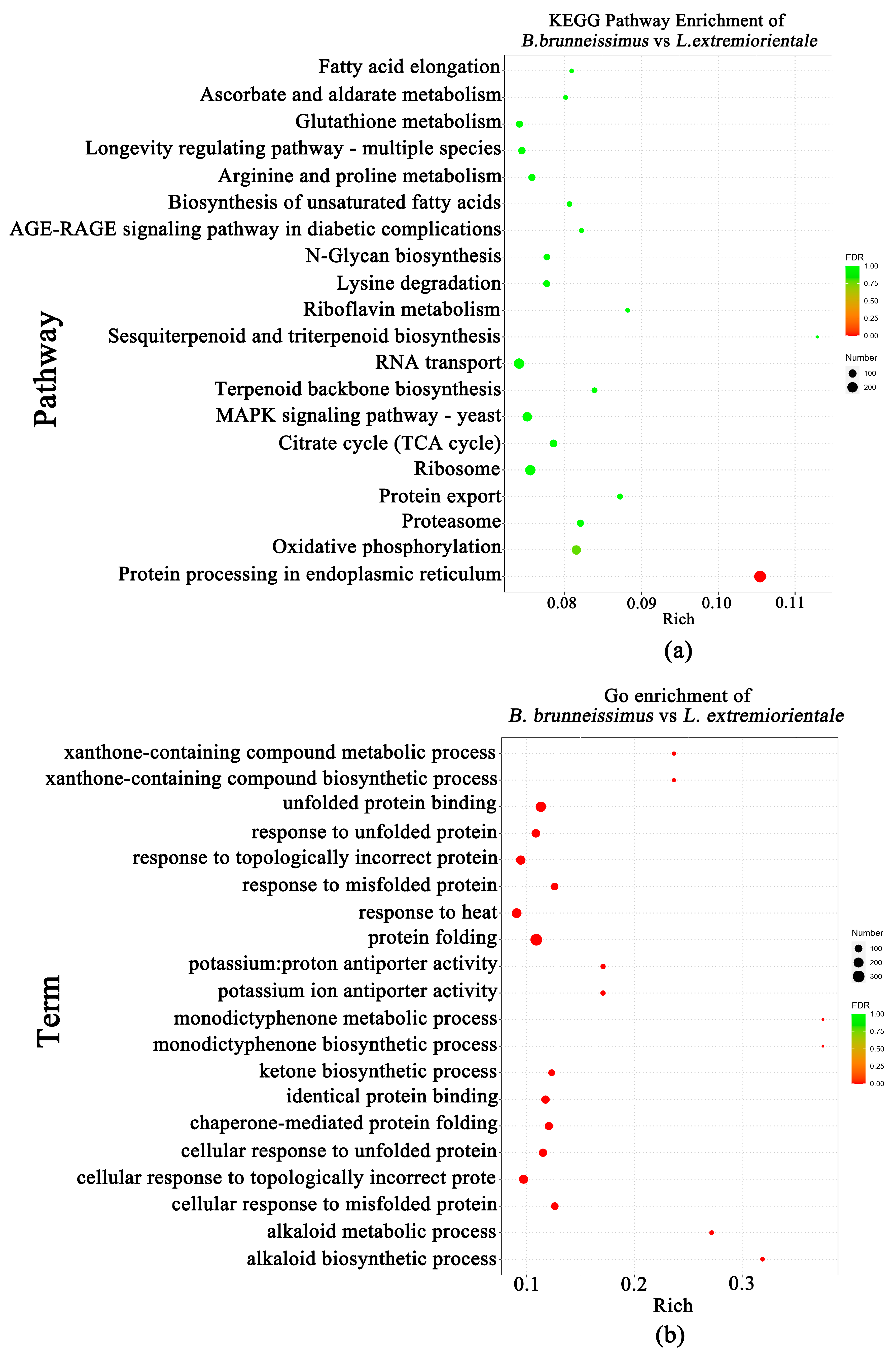 Foods 12 02728 g006 Foods 12 02728 g006