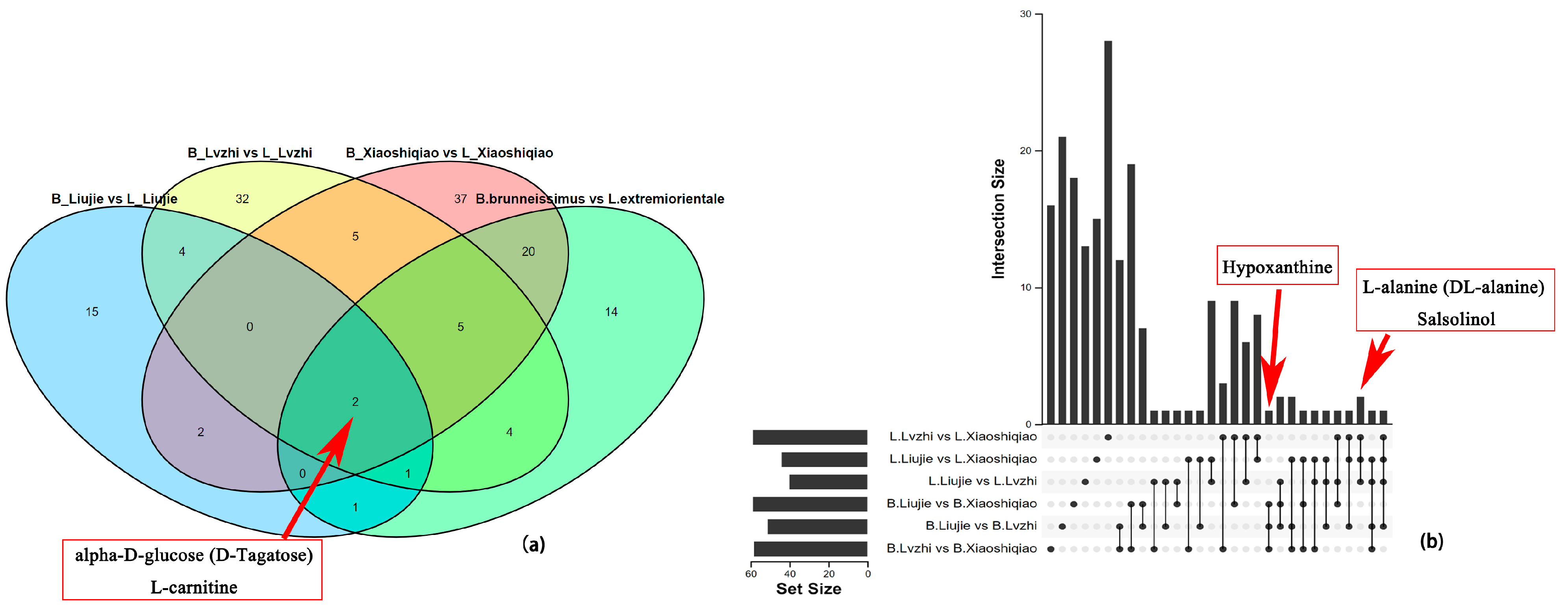 Foods 12 02728 g007 Foods 12 02728 g007