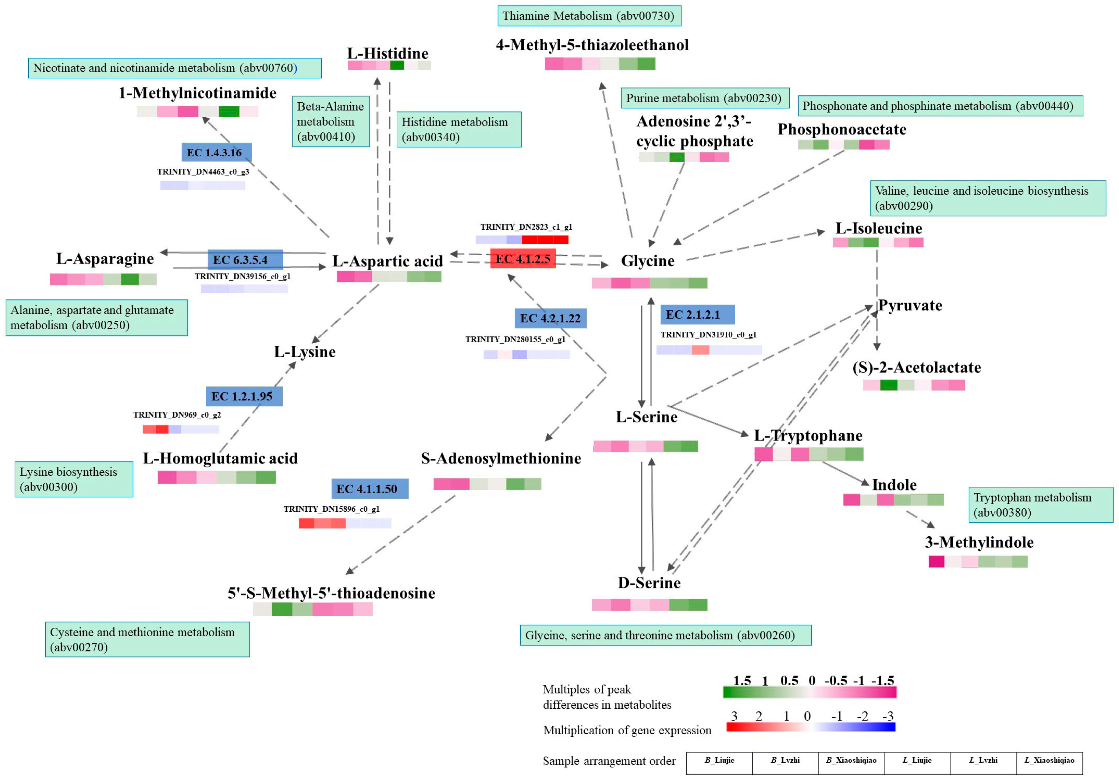 Foods 12 02728 g008 Foods 12 02728 g008