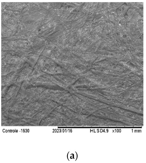 Properties of Paperboard Coated with Natural Polymers and Polymer 