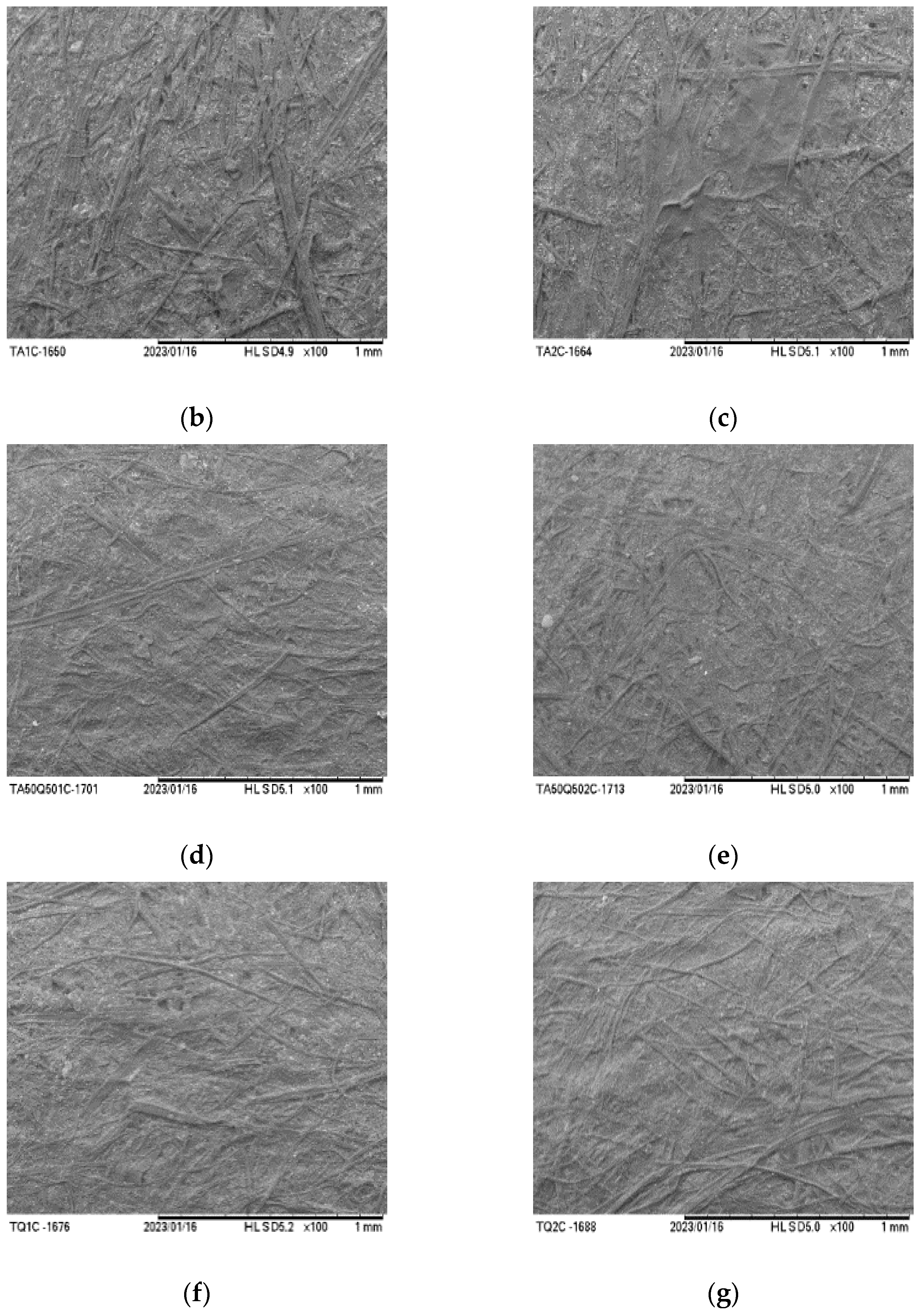 Foods 12 02745 g001b Foods 12 02745 g001b