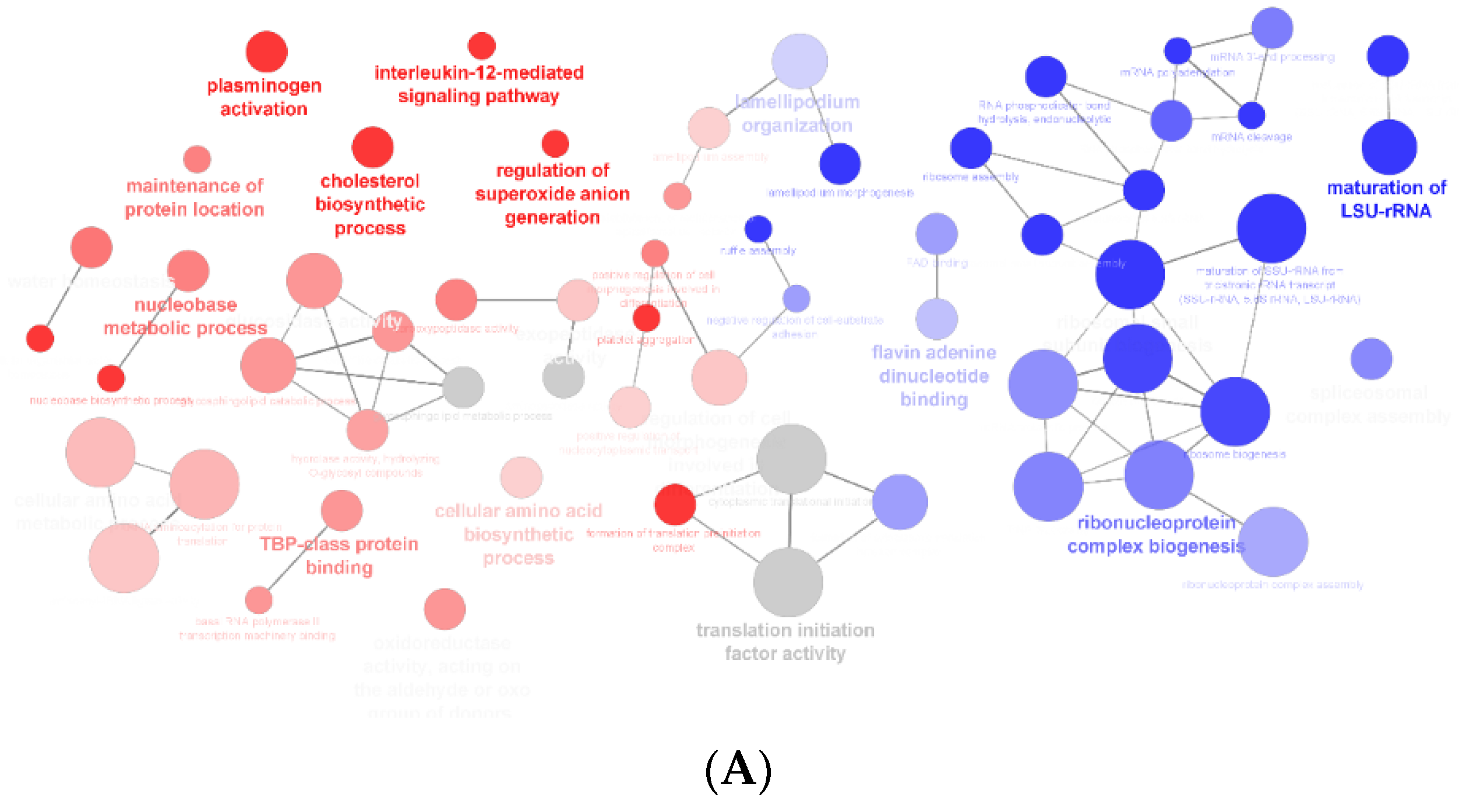 Foods 12 02758 g003a