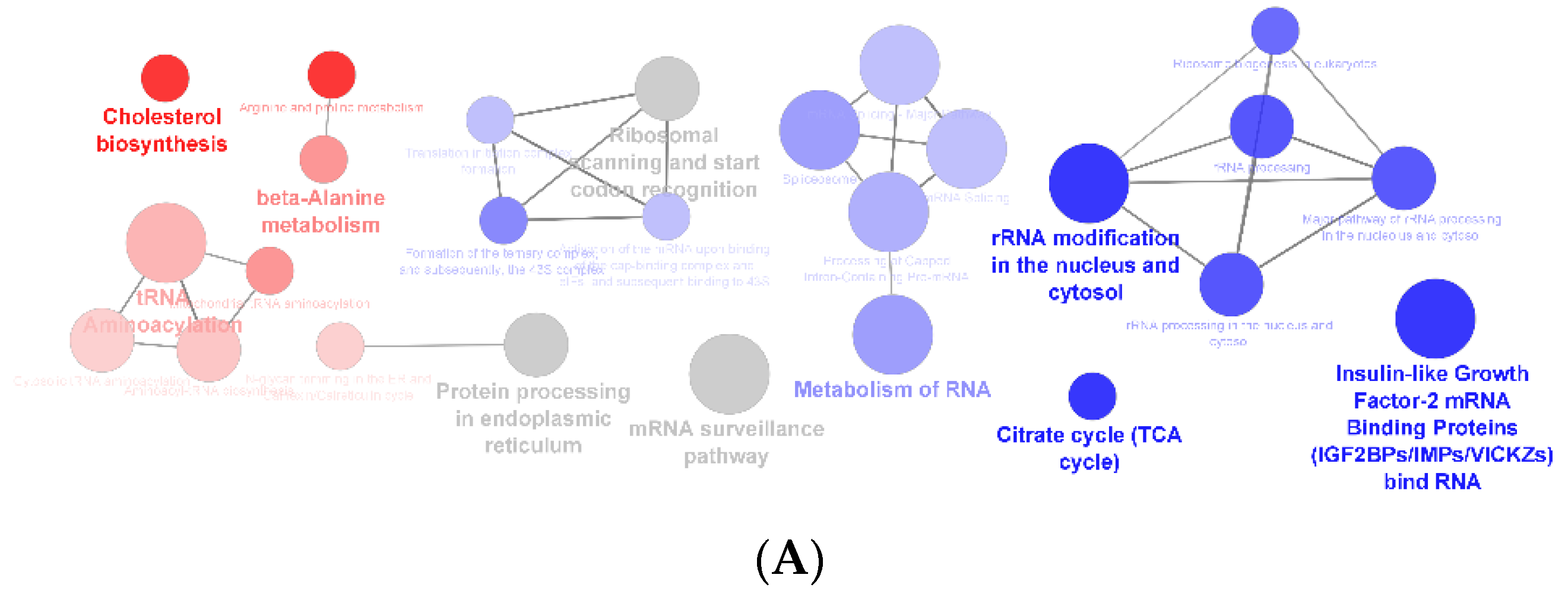 Foods 12 02758 g004a