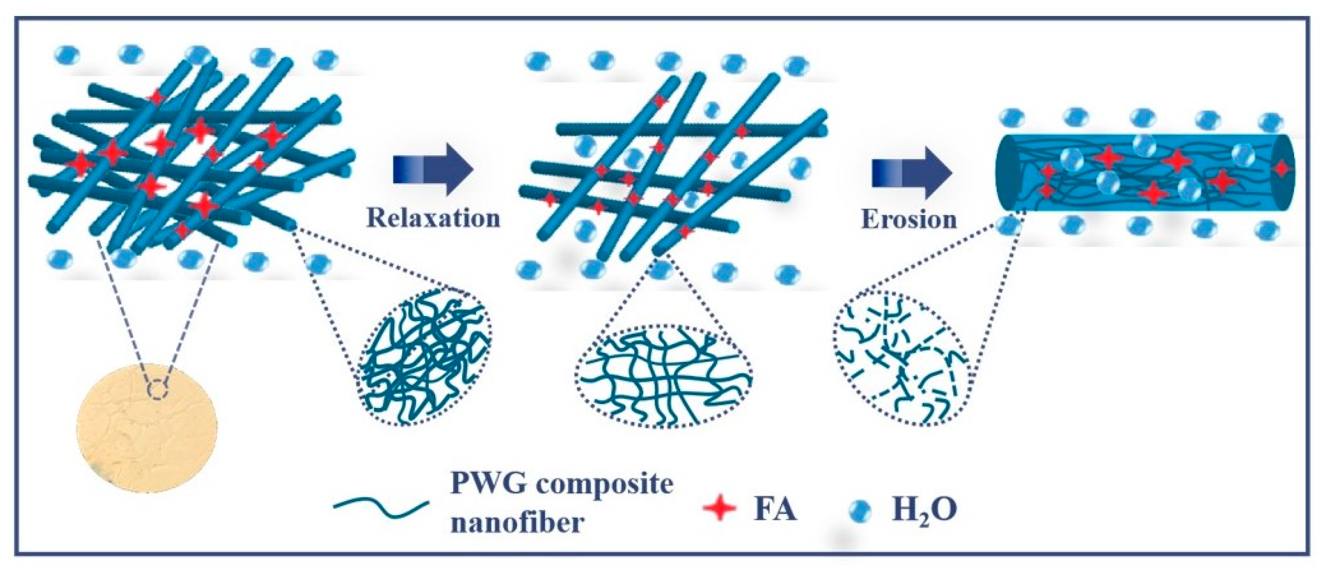 Foods 12 02778 g006 Foods 12 02778 g006