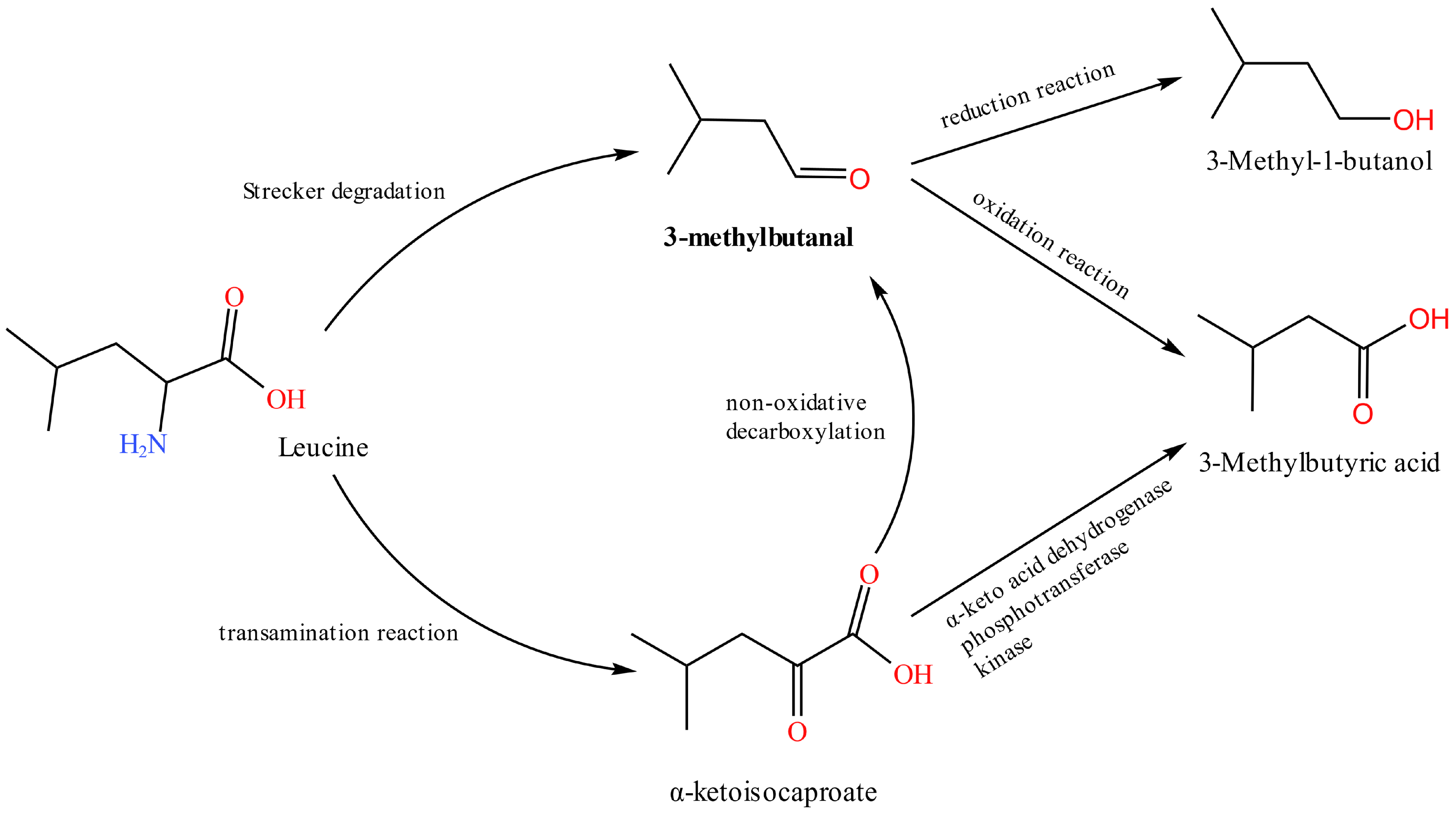 Foods 12 02782 g006 Foods 12 02782 g006