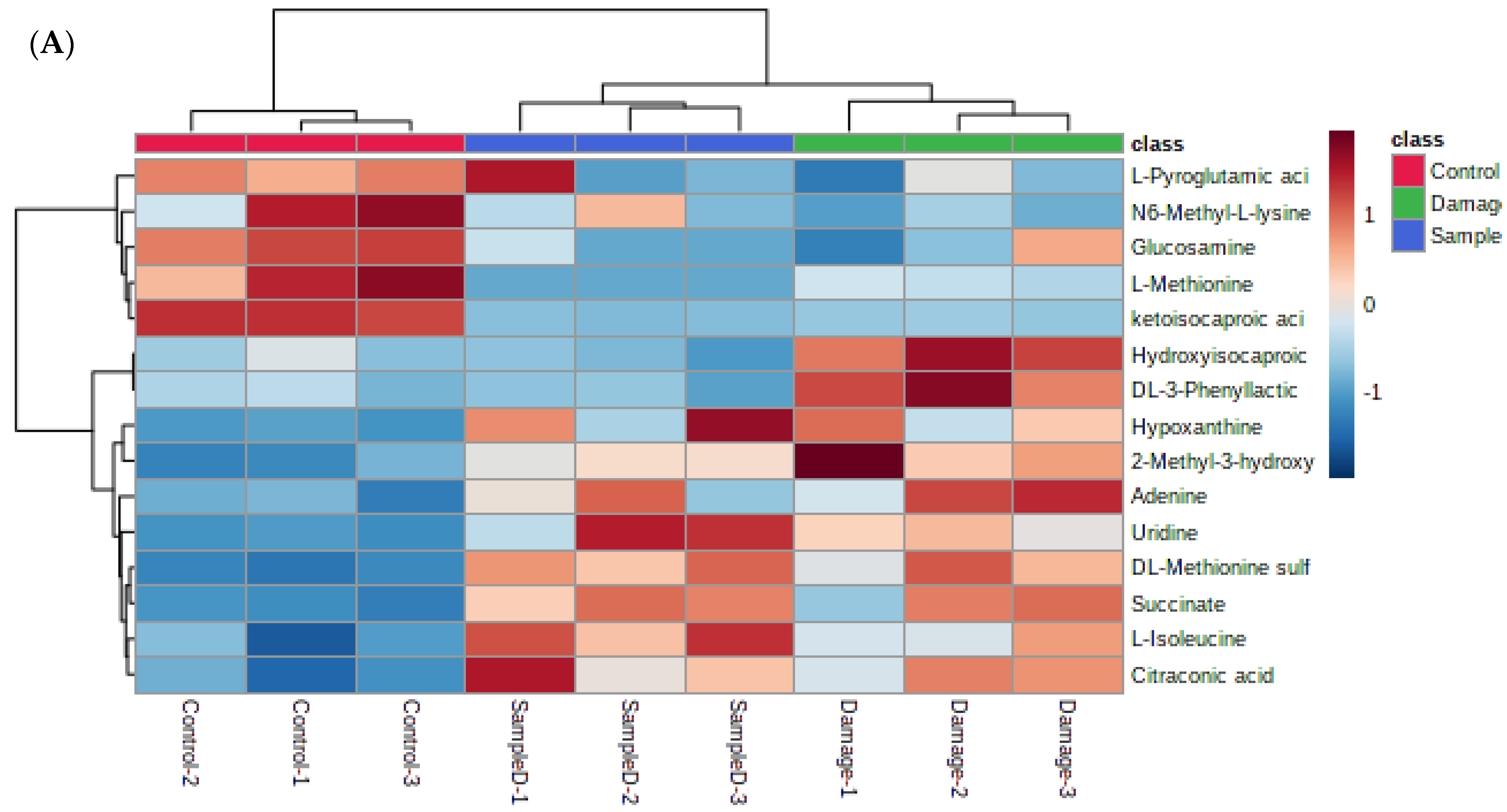 Foods 12 02790 g006a
