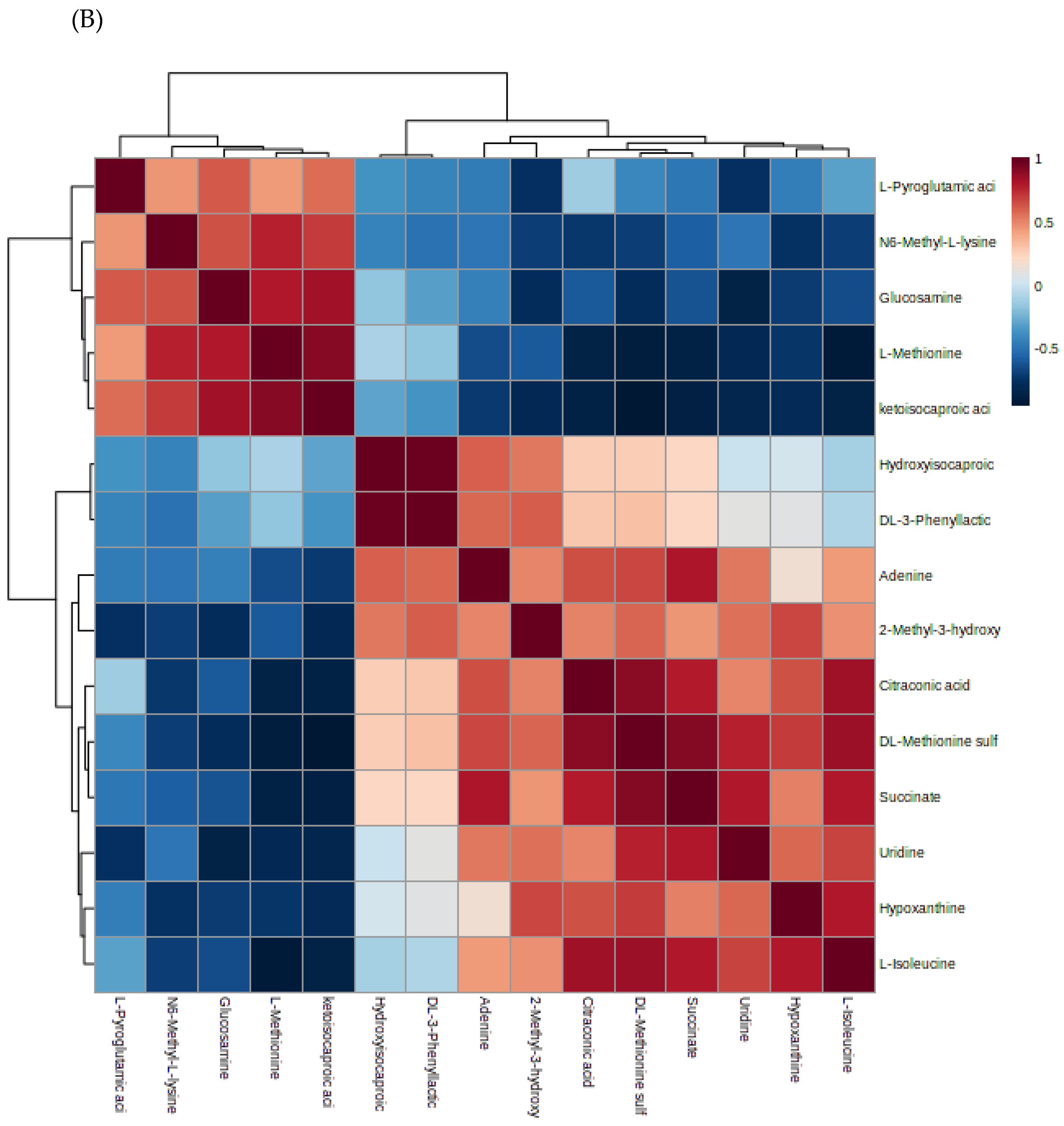 Foods 12 02790 g006b