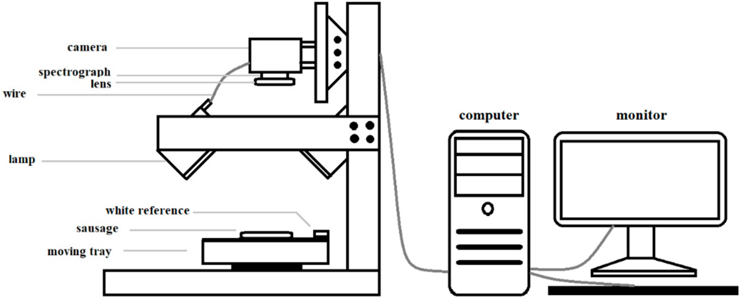 Foods 12 02793 g001 Foods 12 02793 g001
