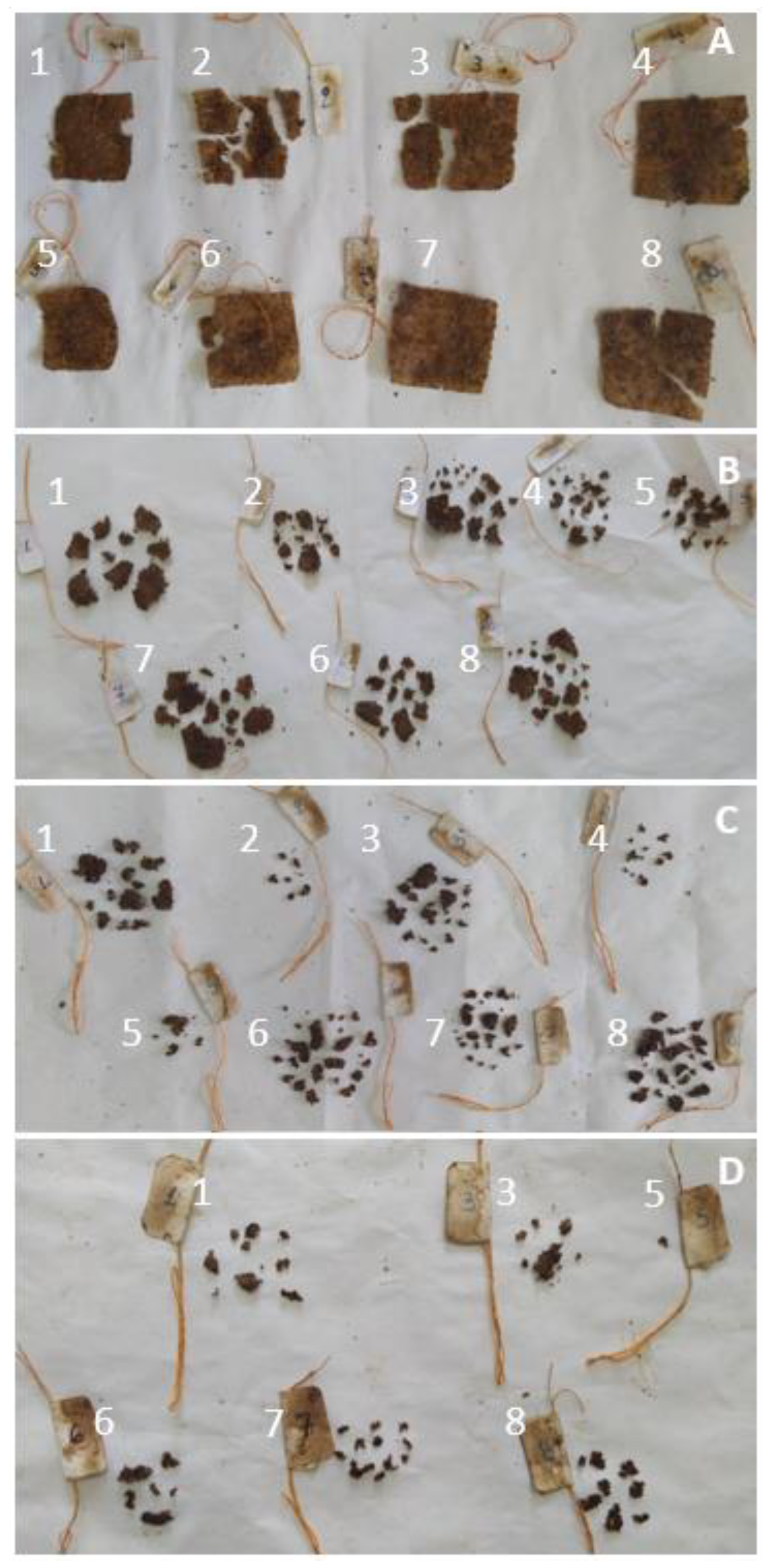 Foods 12 02812 g011 Foods 12 02812 g011