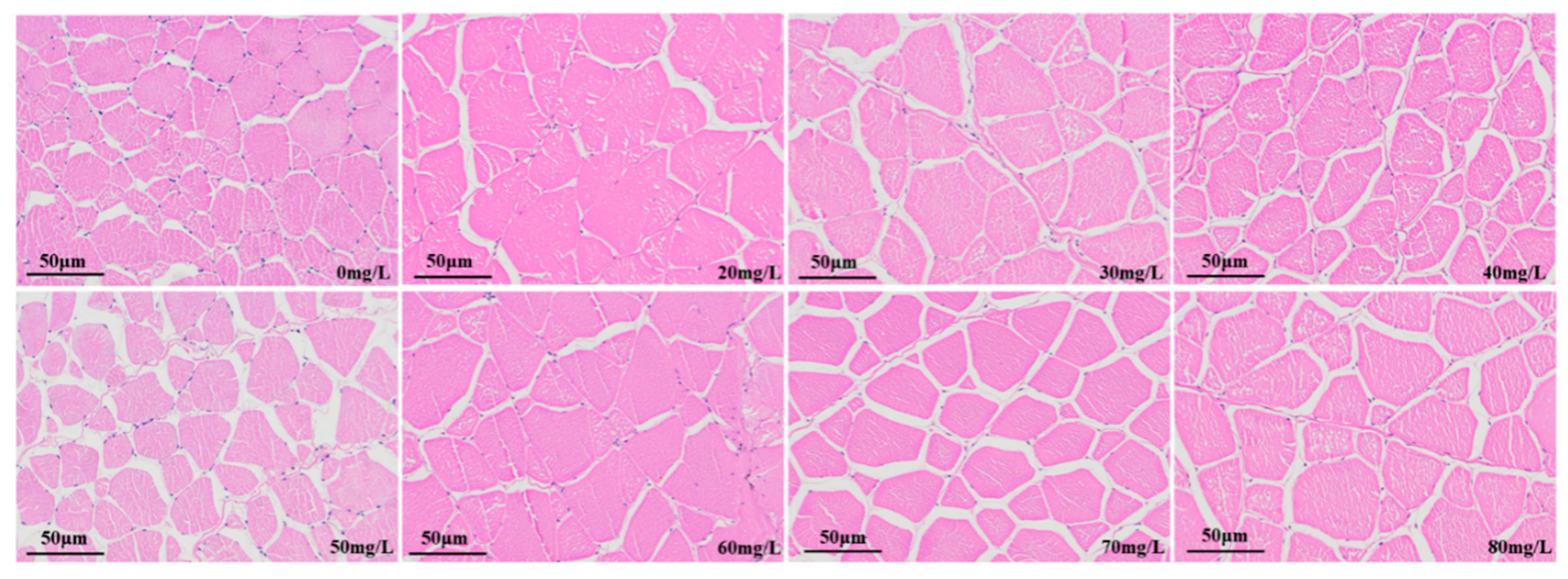 Foods 12 02820 g008 Foods 12 02820 g008