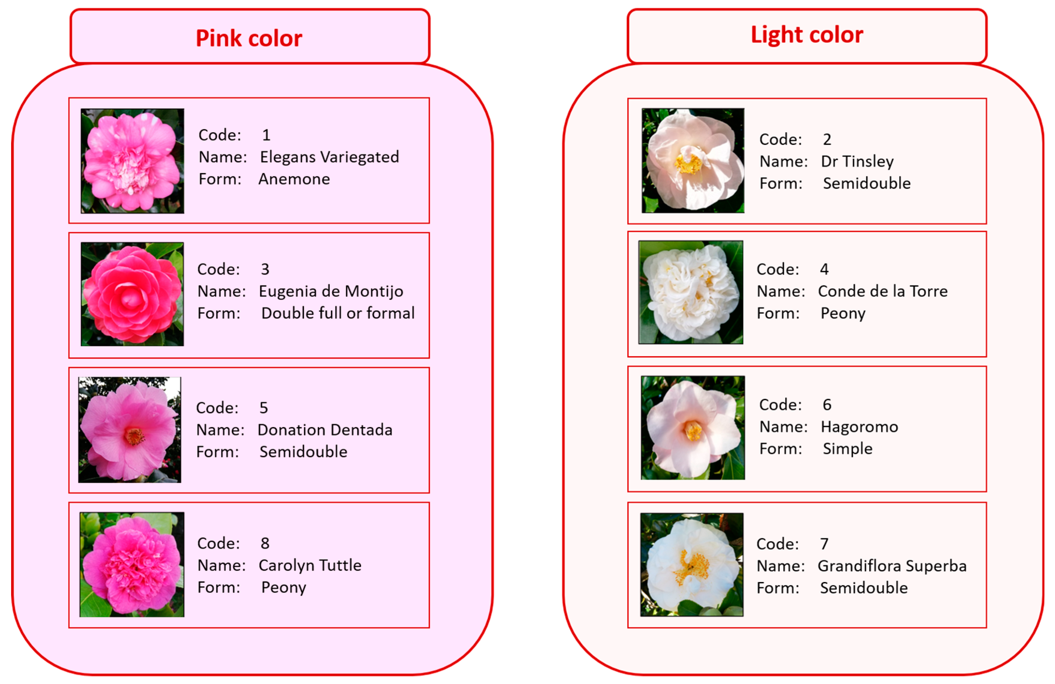 Foods 12 02825 g001 Foods 12 02825 g001