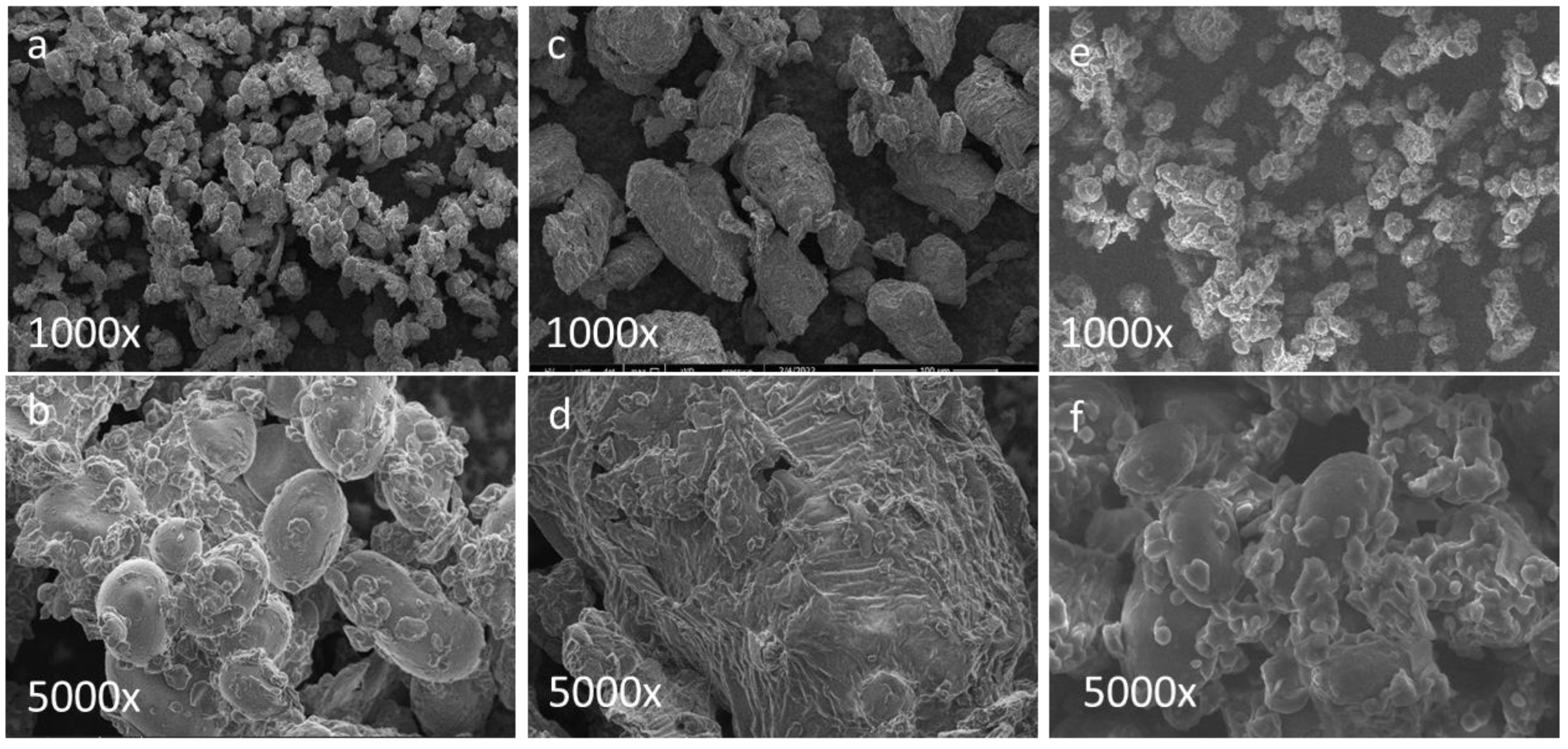 Foods 12 02829 g002 Foods 12 02829 g002