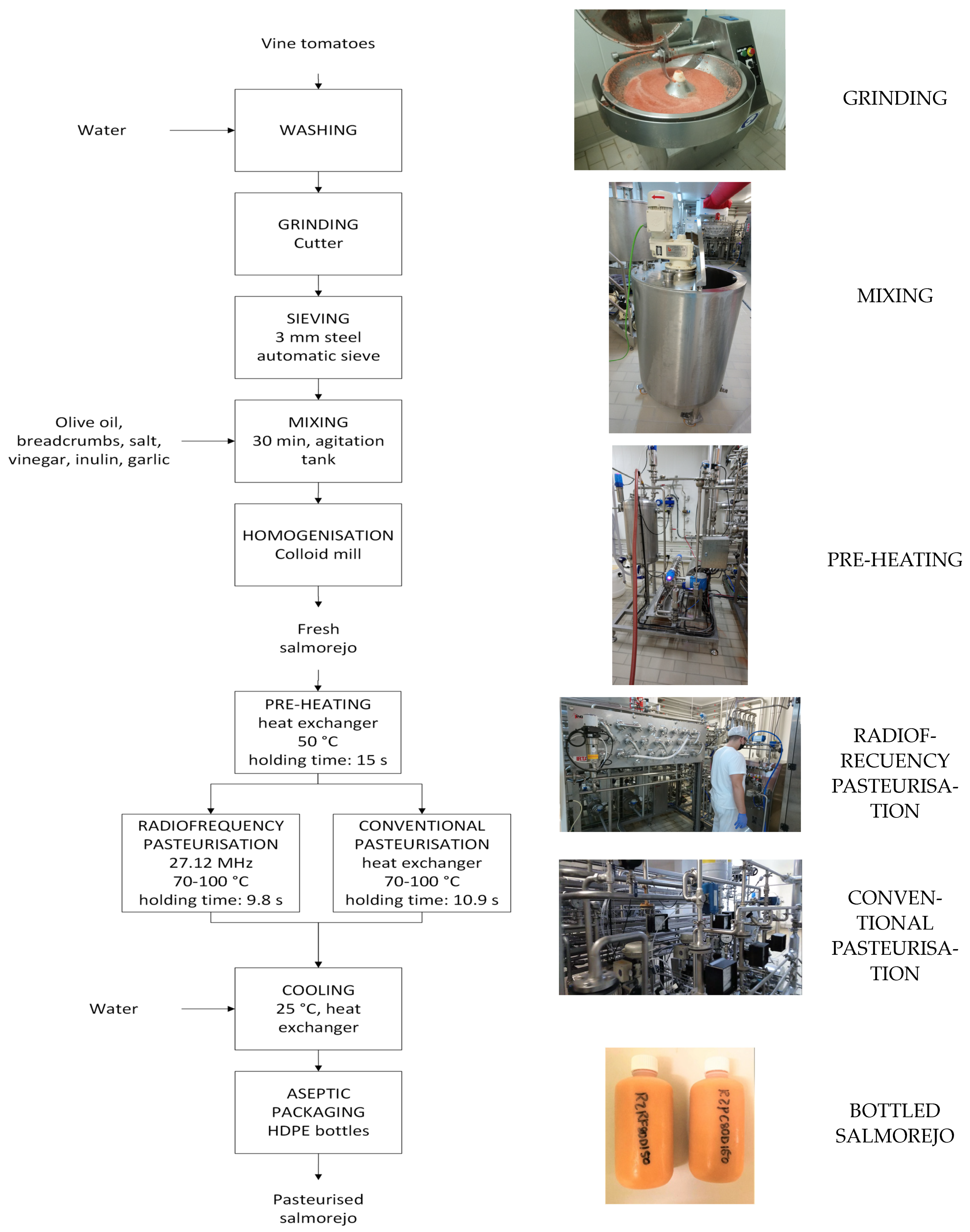 Foods 12 02837 g001 Foods 12 02837 g001