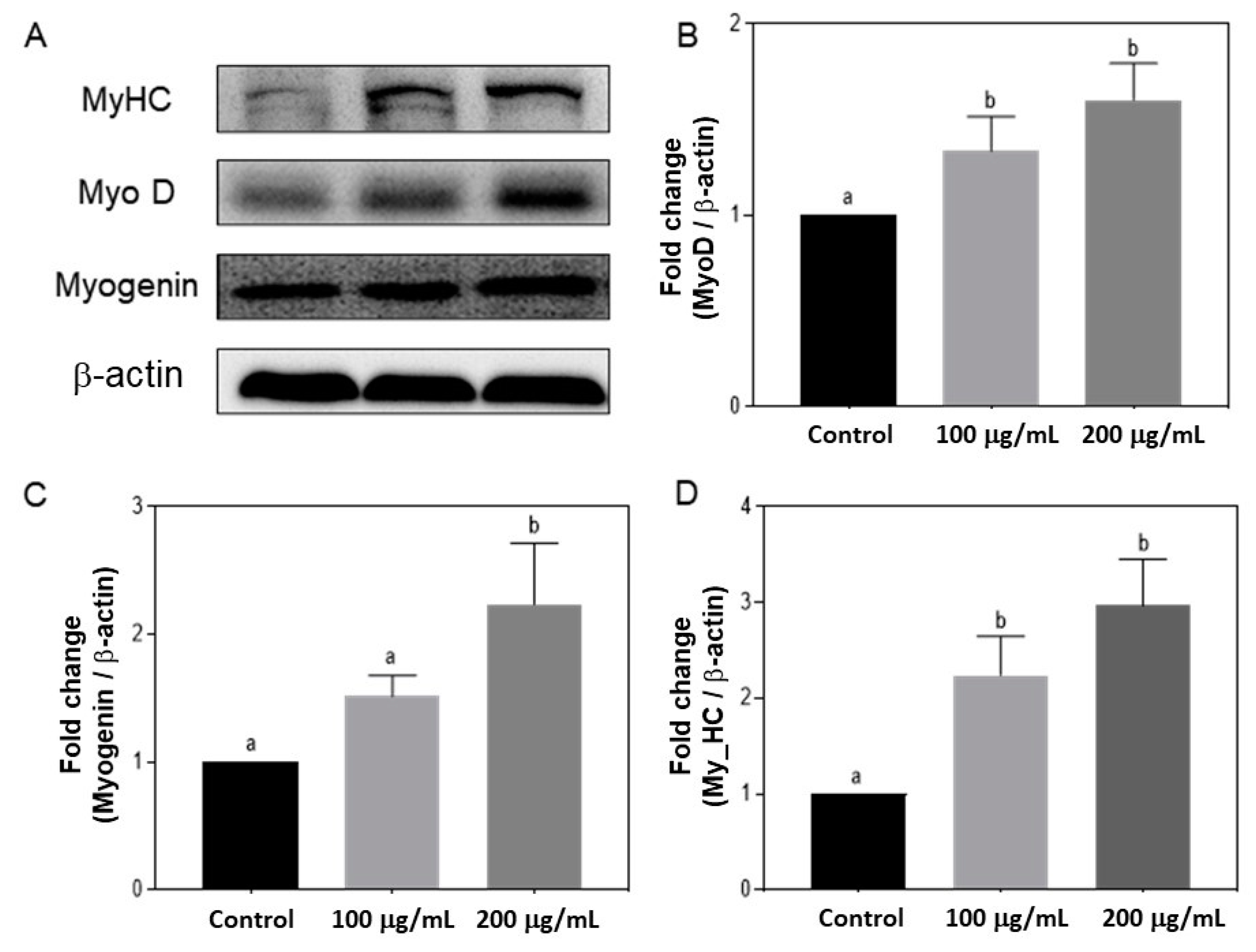 Foods 12 02840 g004 Foods 12 02840 g004