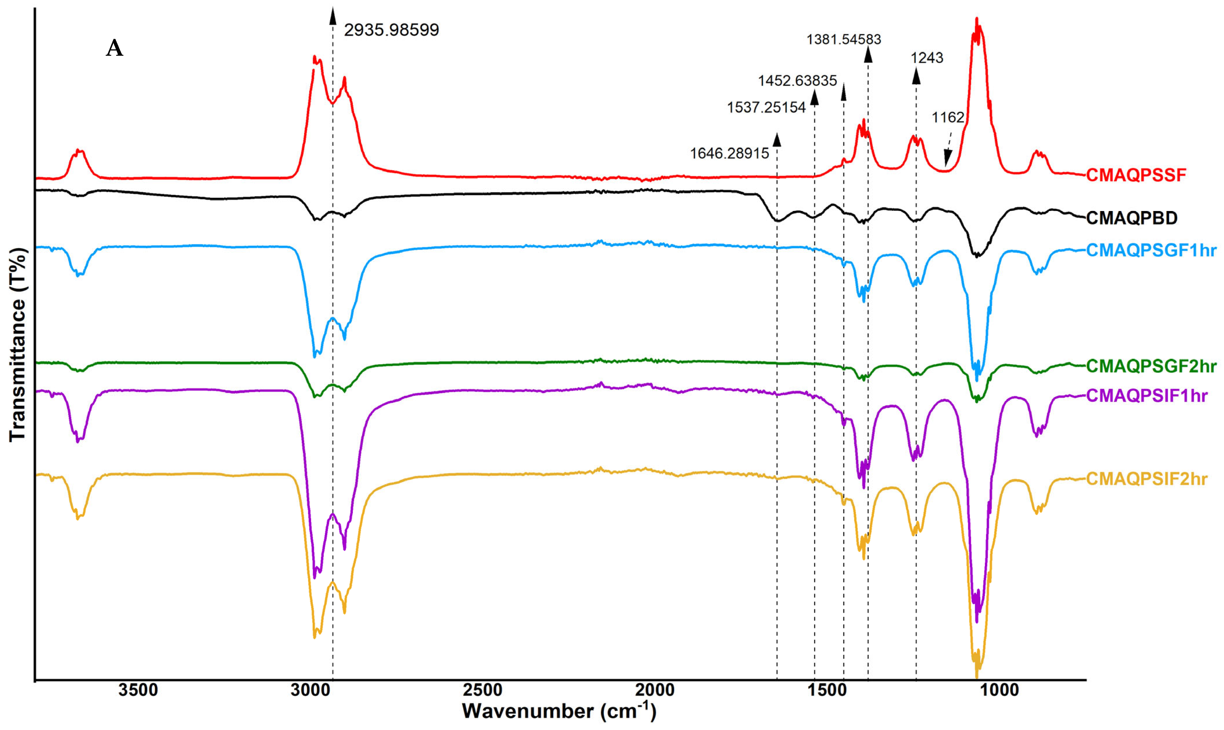 Foods 12 02844 g003a
