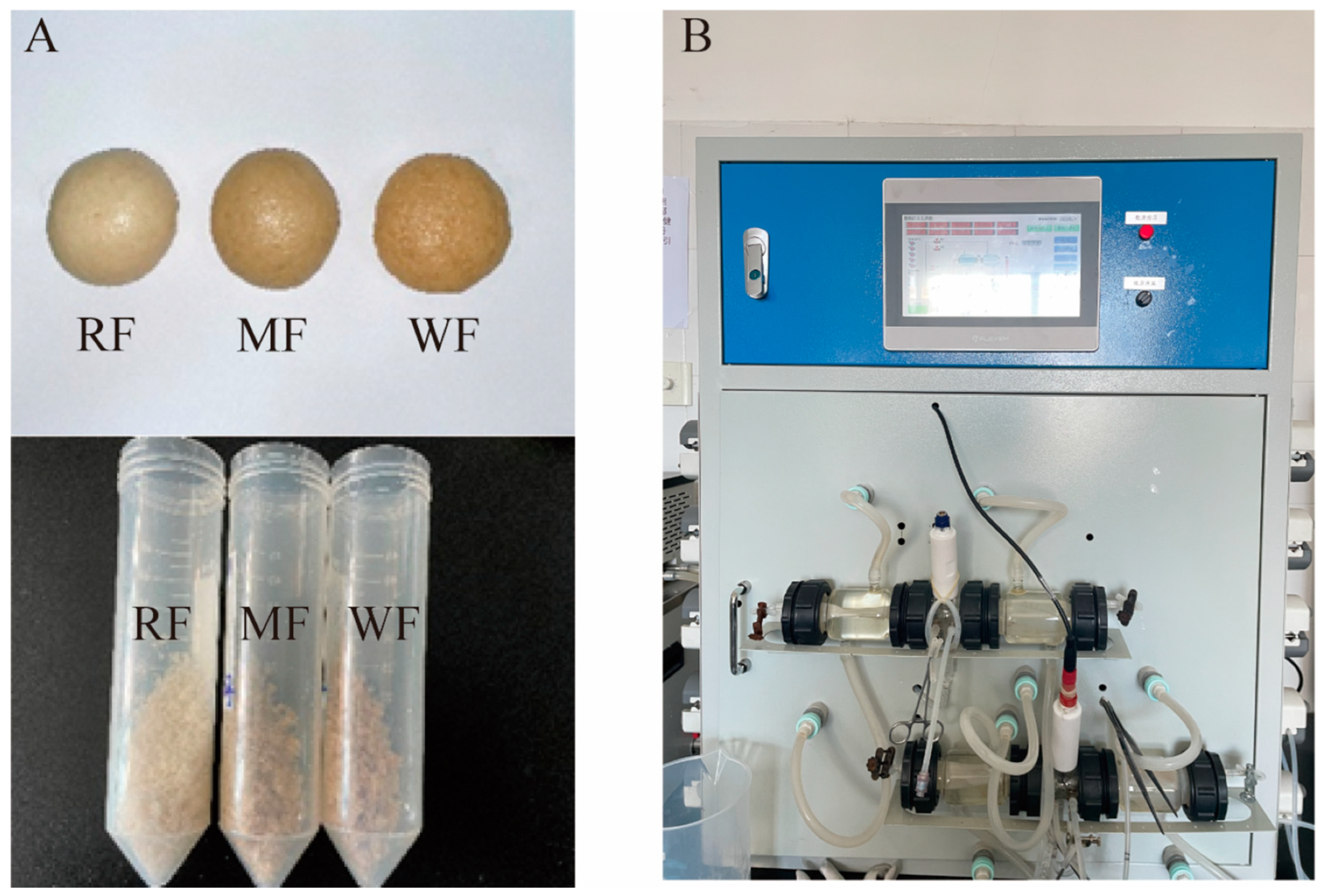 Foods 12 02847 g001 Foods 12 02847 g001