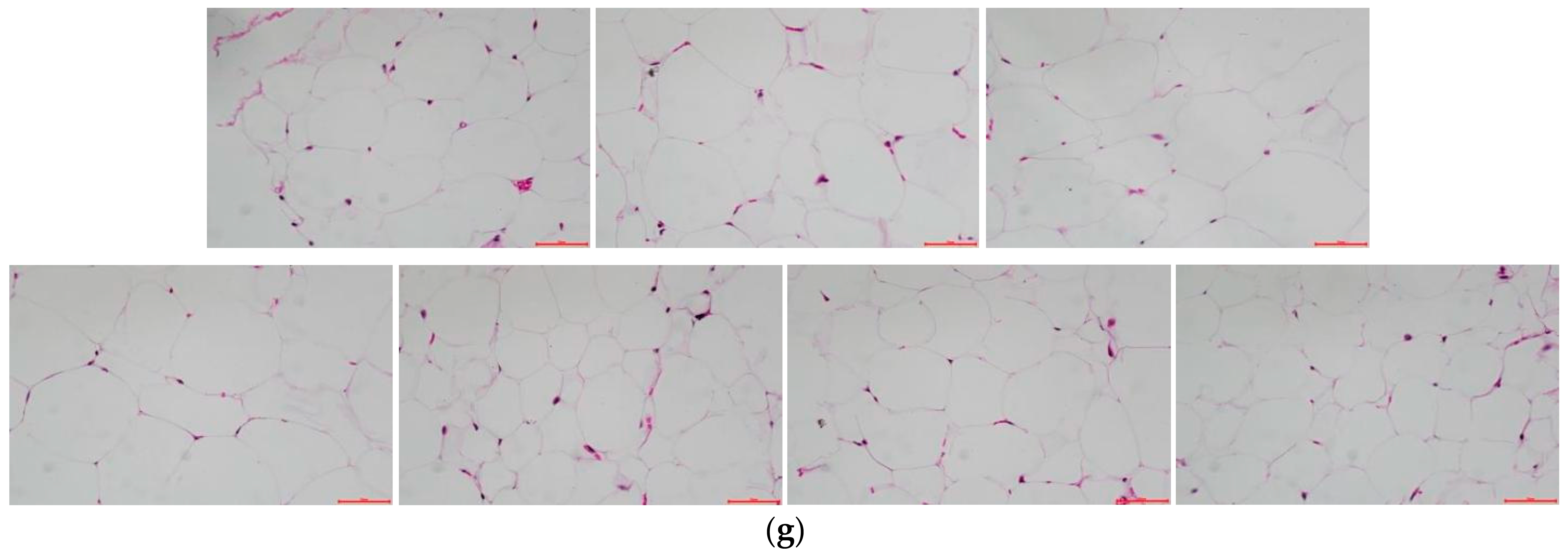 Foods 12 02854 g006b