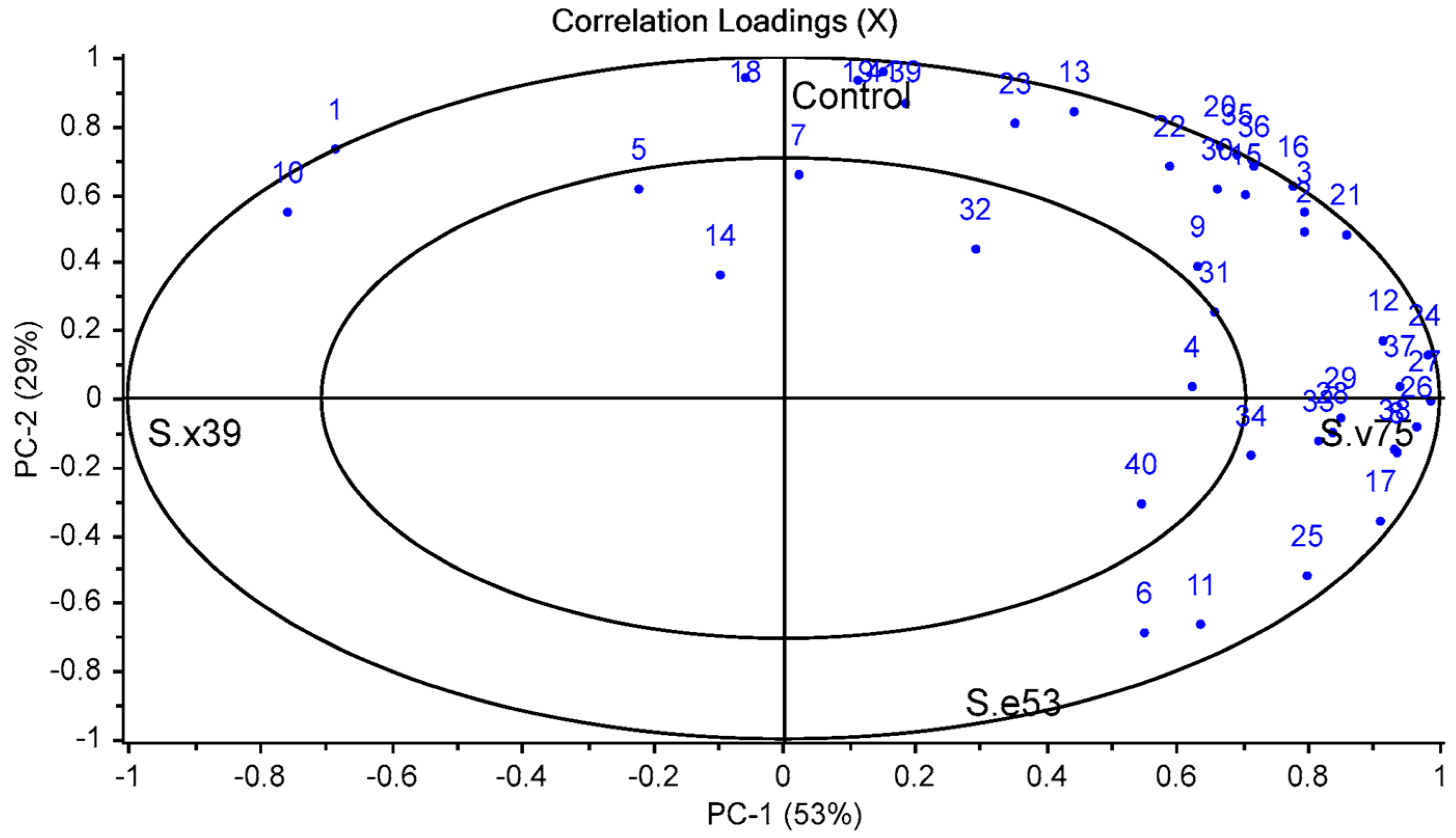Foods 12 02856 g002 Foods 12 02856 g002