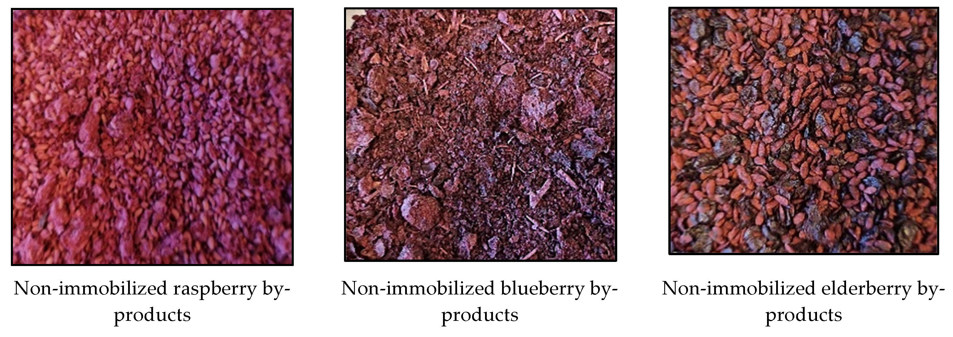 Foods 12 02860 g002a