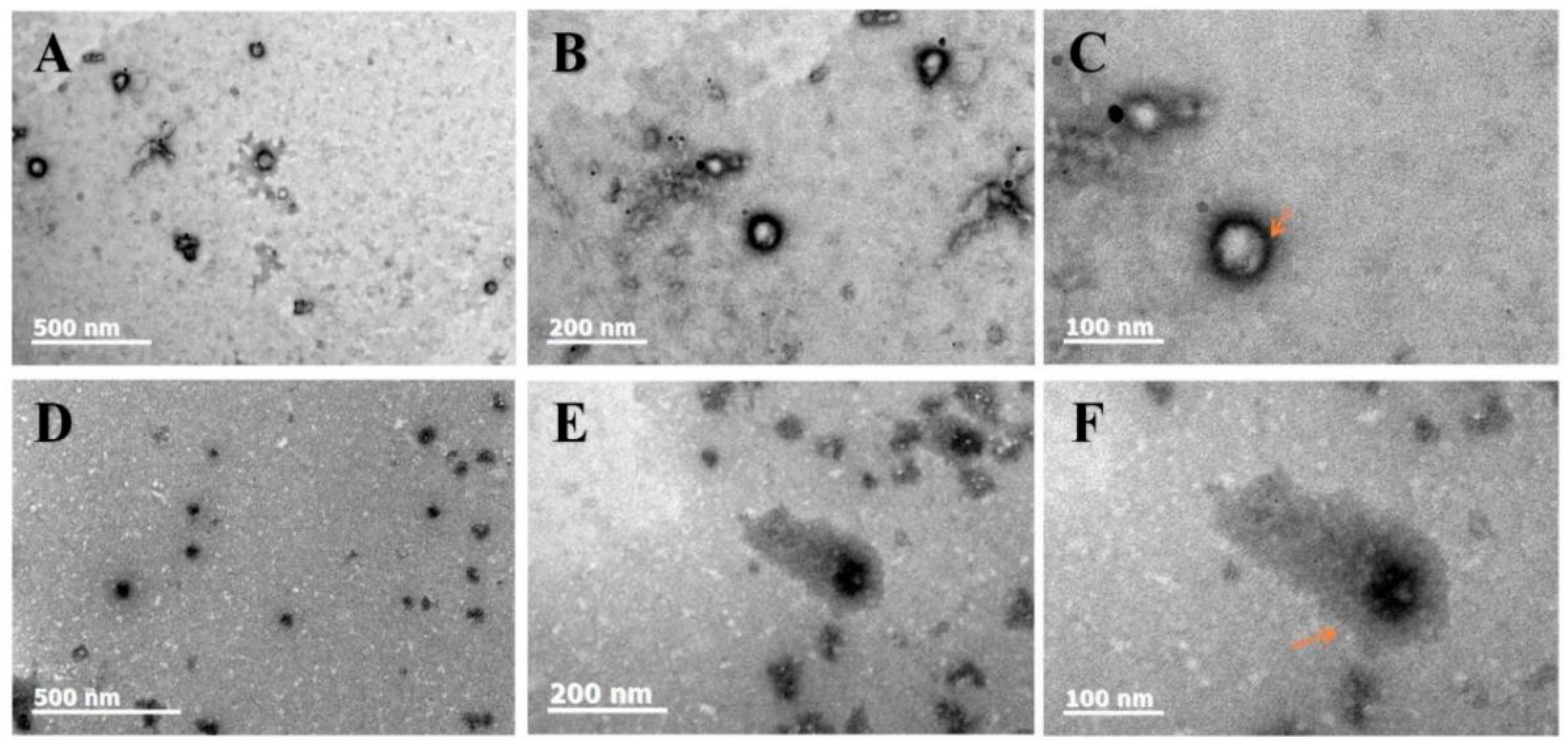 Foods 12 02861 g002 Foods 12 02861 g002