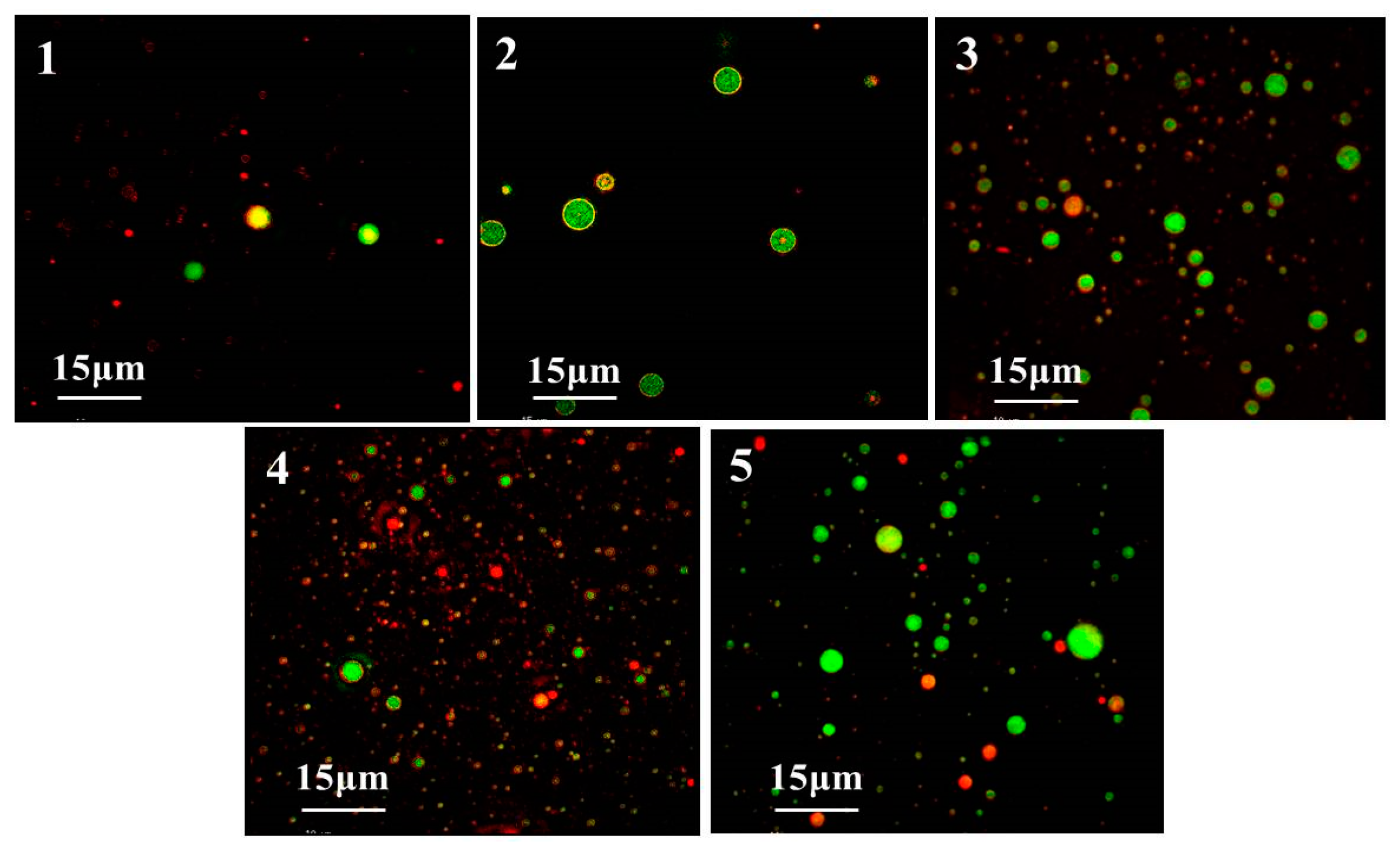 Foods 12 02869 g008 Foods 12 02869 g008