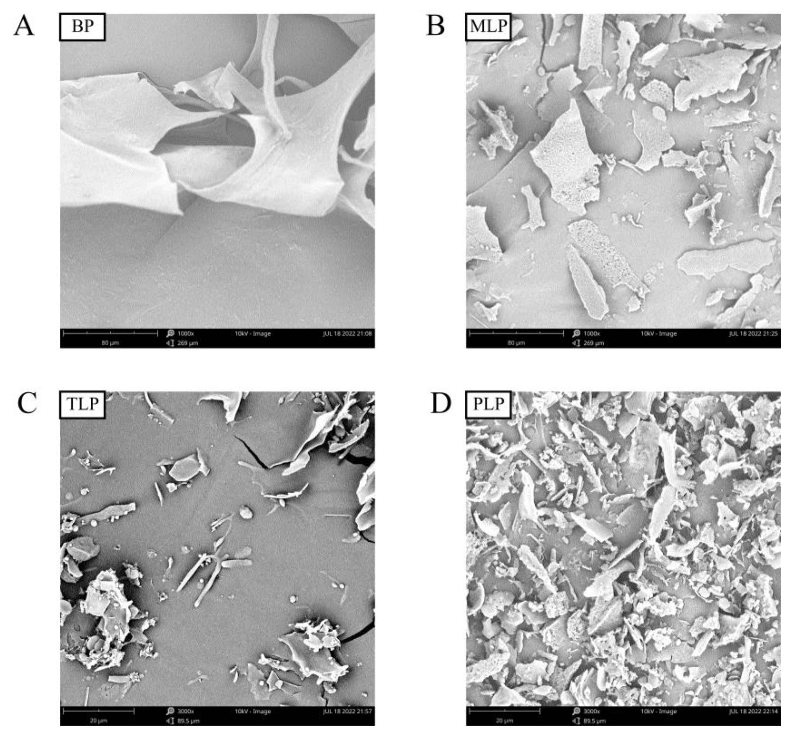 Foods 12 02878 g002 Foods 12 02878 g002