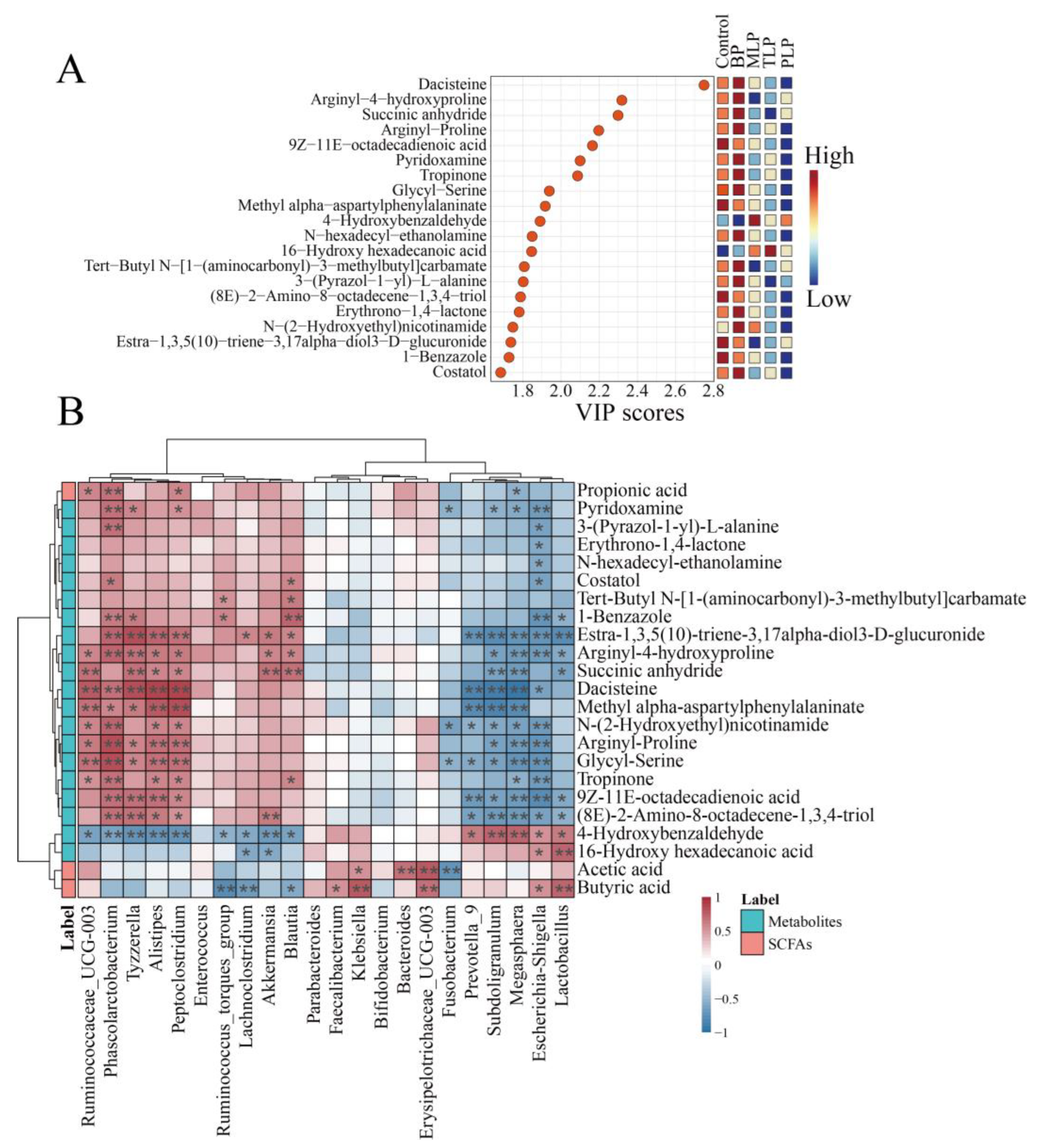 Foods 12 02878 g006 Foods 12 02878 g006