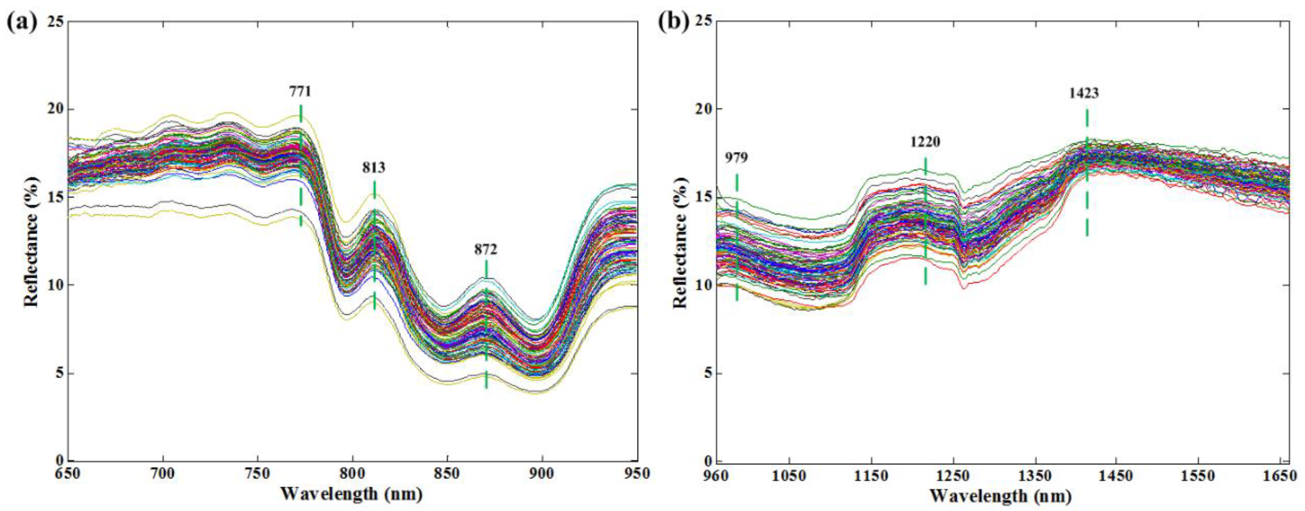 Foods 12 02882 g001 Foods 12 02882 g001
