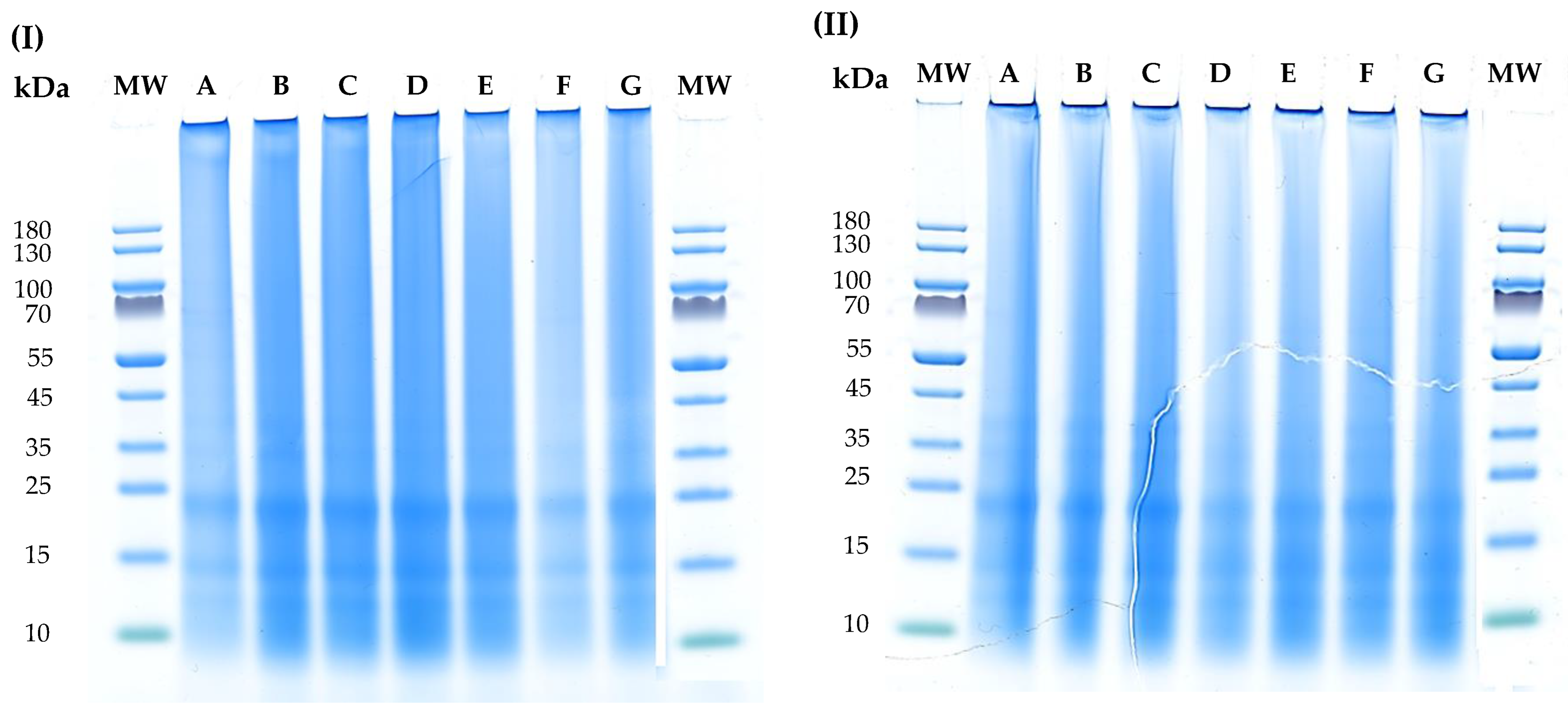 Foods 12 02883 g004 Foods 12 02883 g004