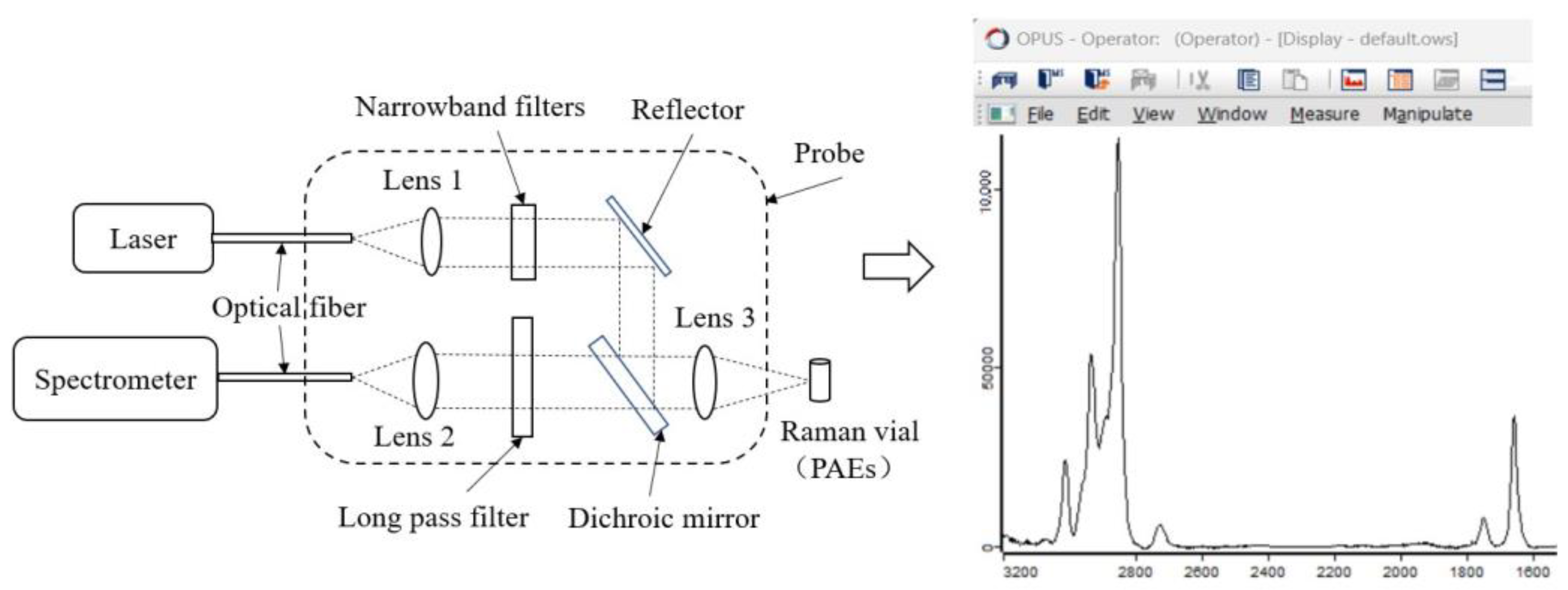 Foods 12 02888 g001 Foods 12 02888 g001