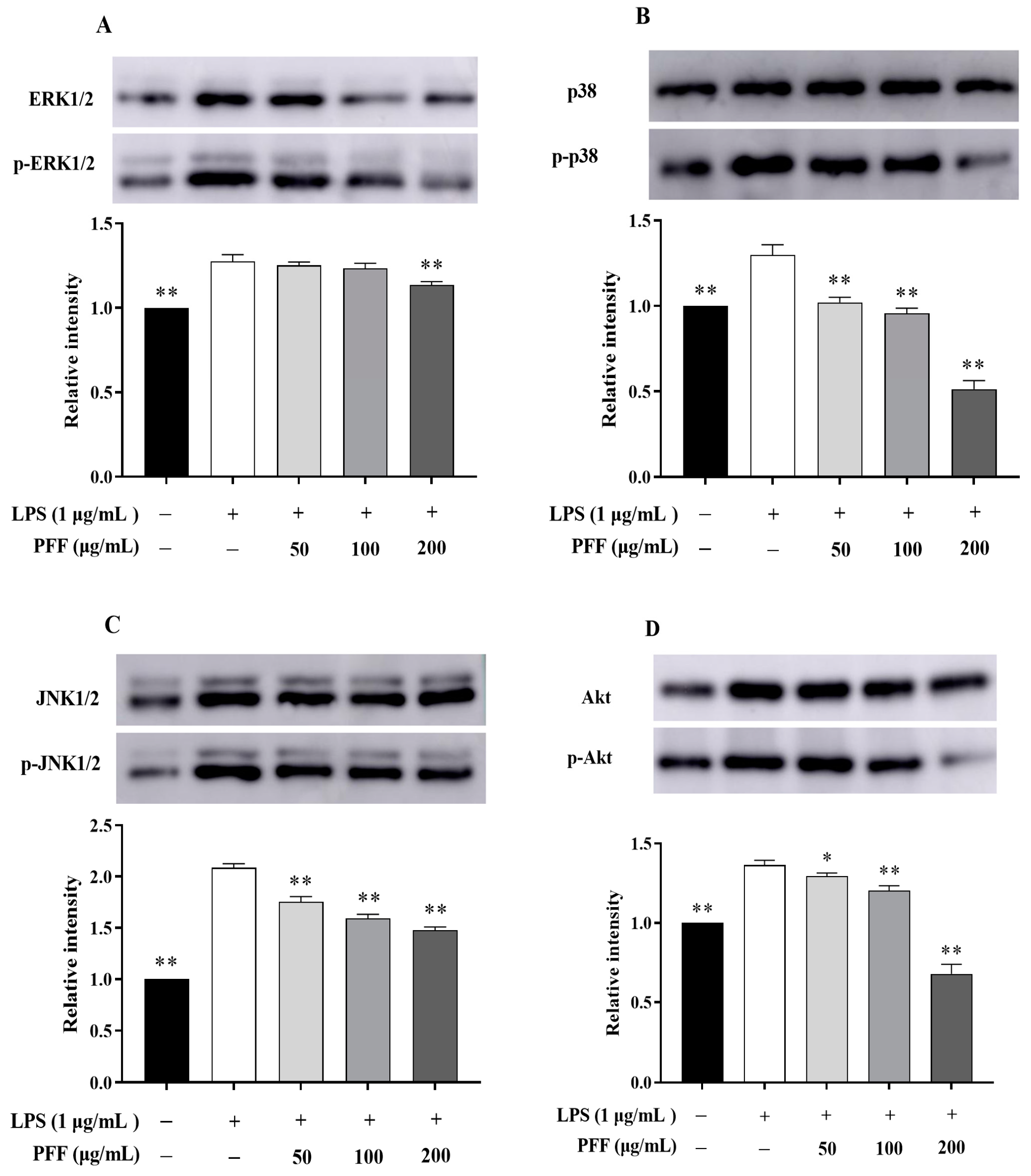 Foods 12 02889 g003 Foods 12 02889 g003