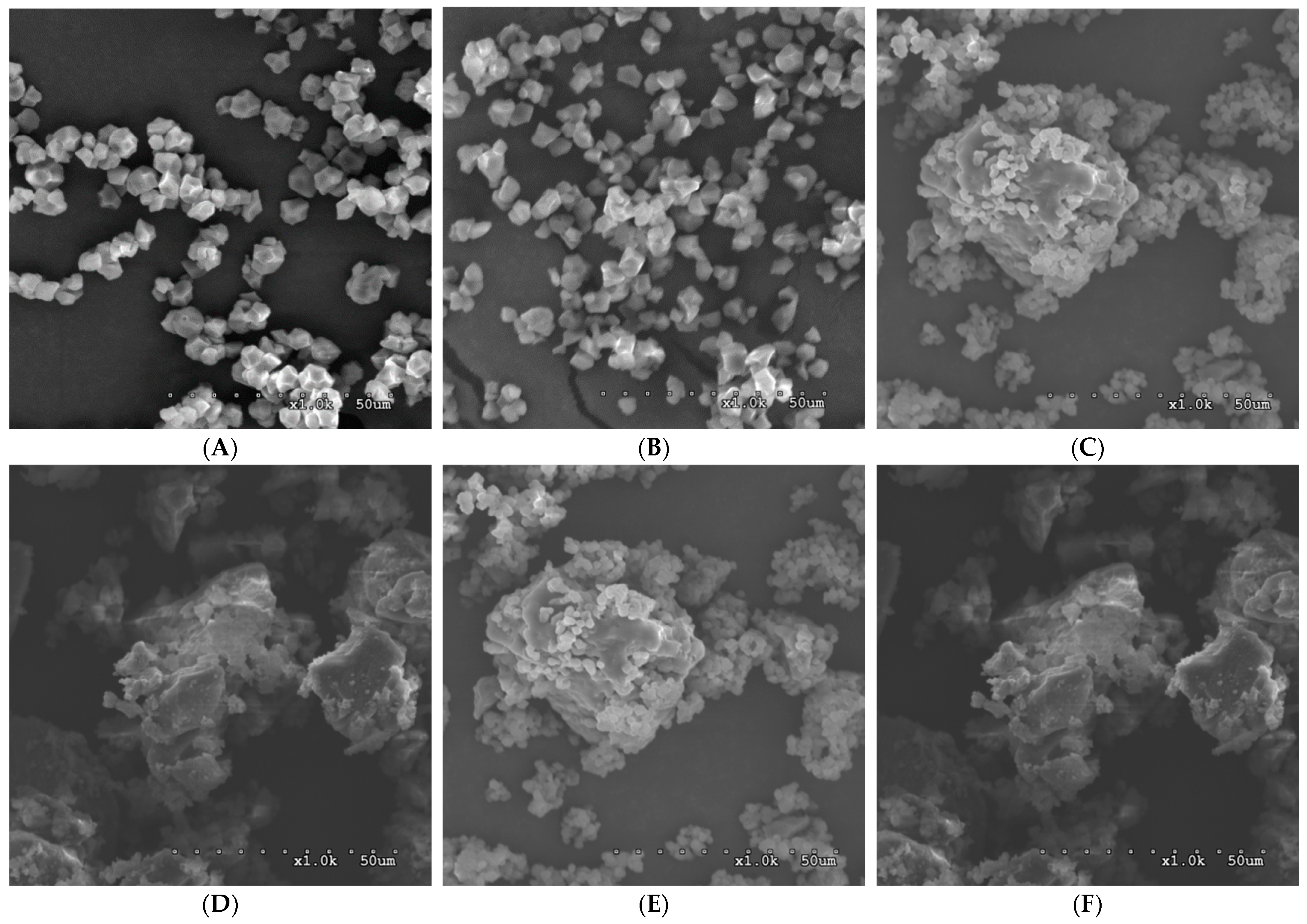 Foods 12 02890 g004 Foods 12 02890 g004