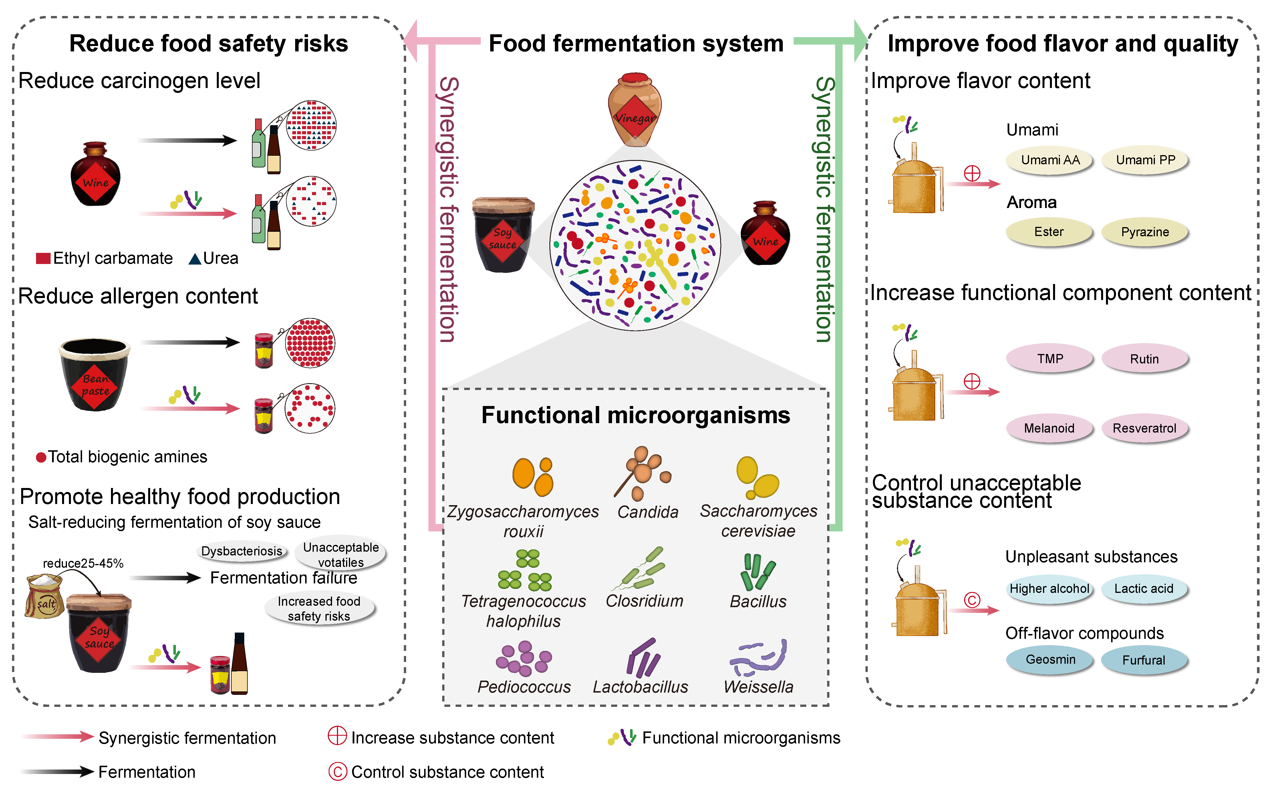 Synergistic Fermentation with Functional Improves Safety