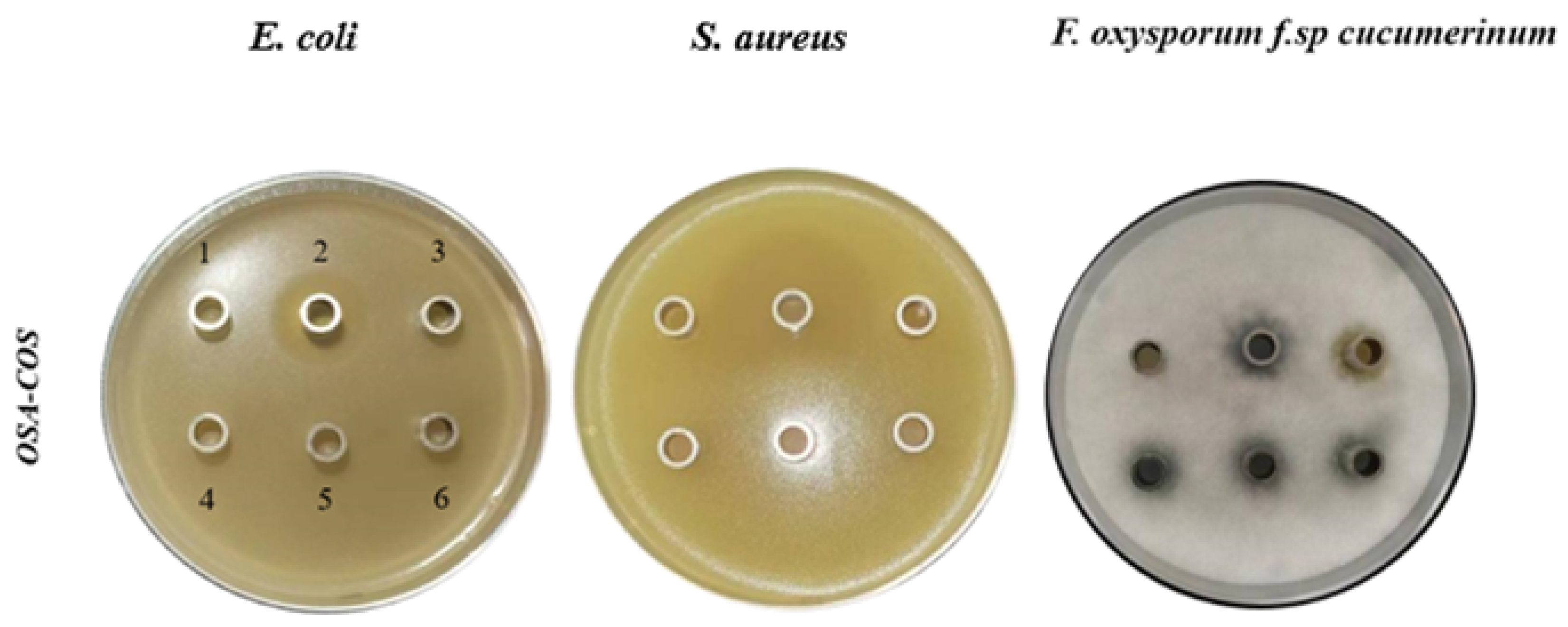 Foods 12 02898 g005 Foods 12 02898 g005