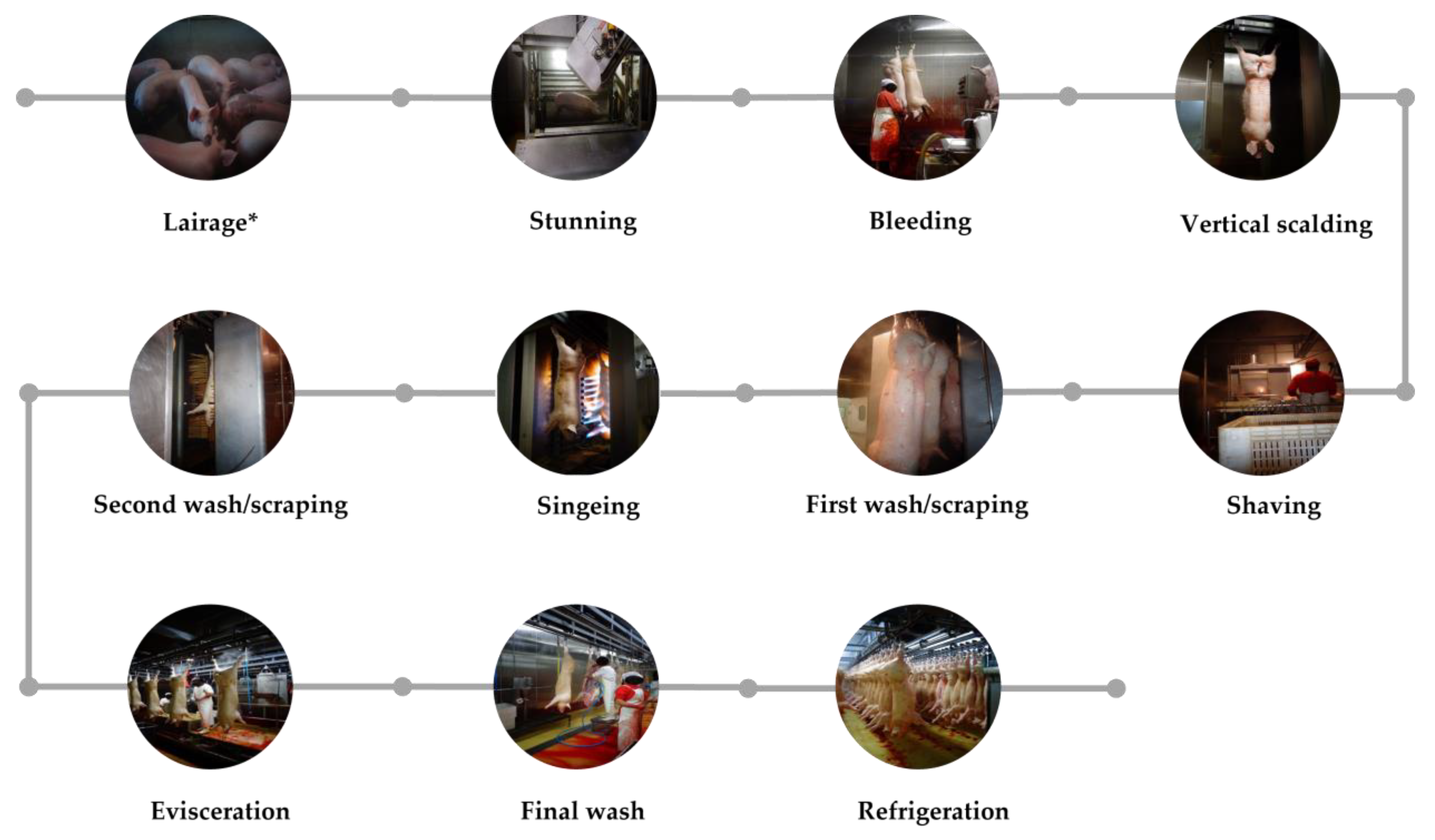 Foods 12 02910 g001 Foods 12 02910 g001