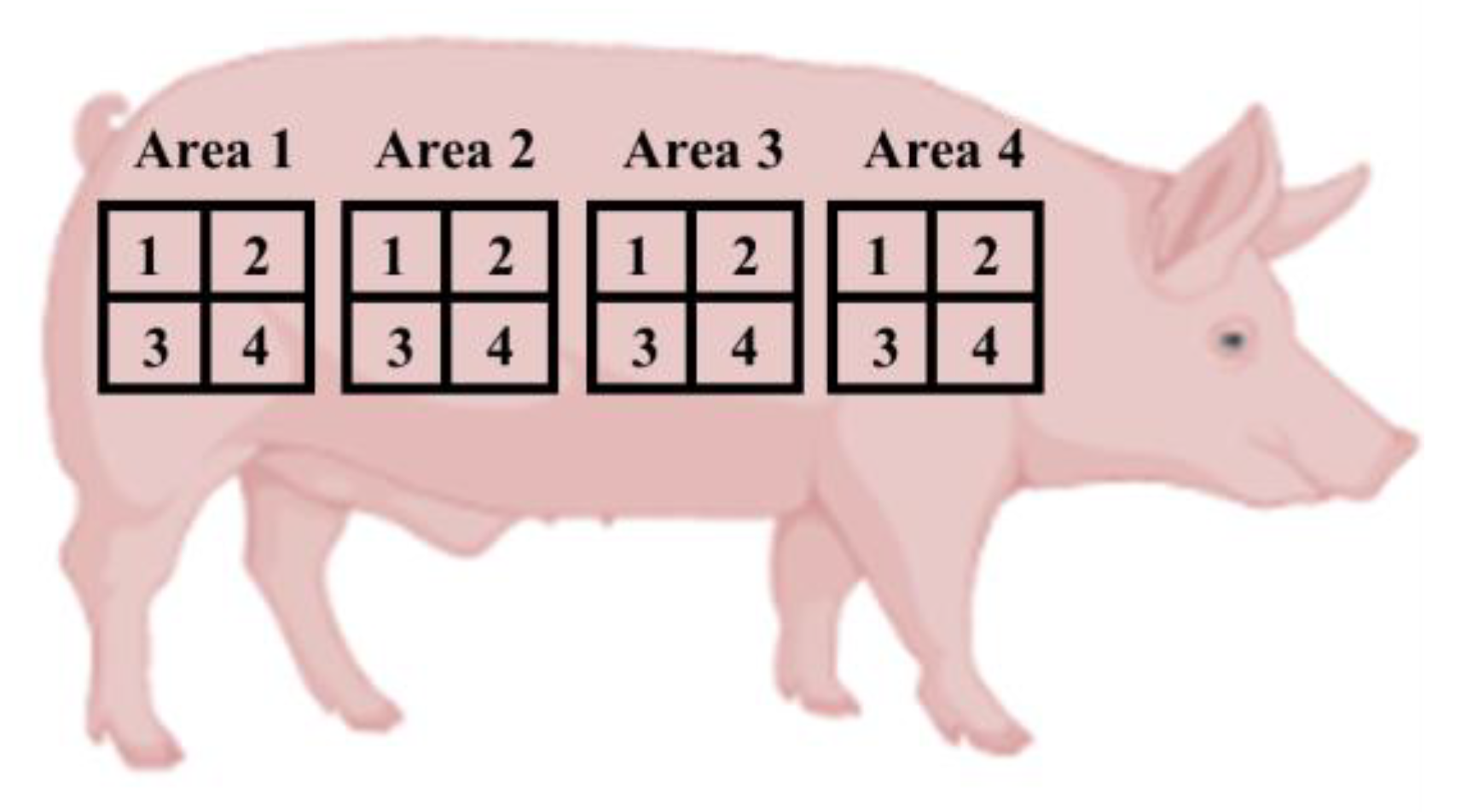 Foods 12 02910 g002 Foods 12 02910 g002