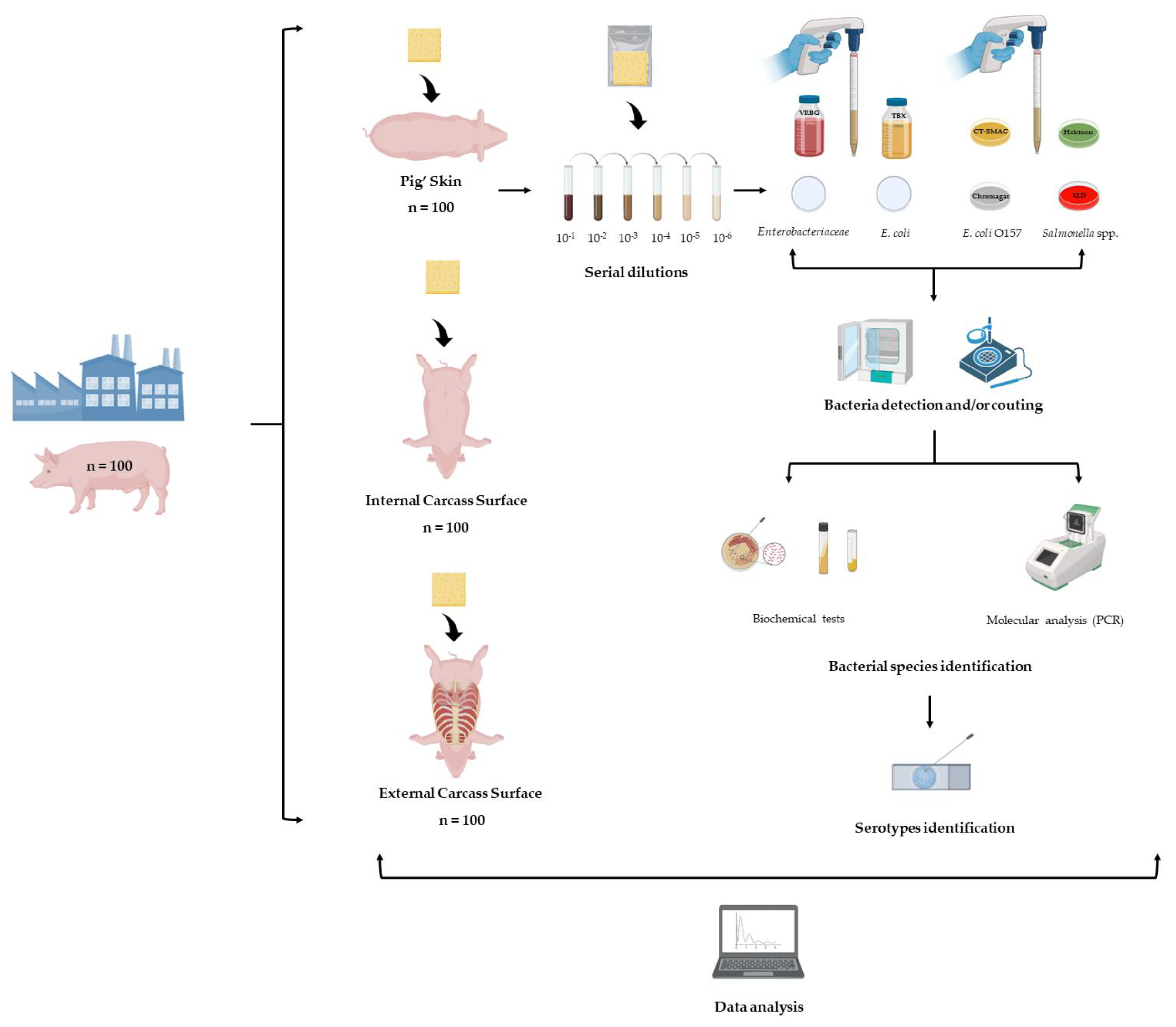 Foods 12 02910 g003 Foods 12 02910 g003