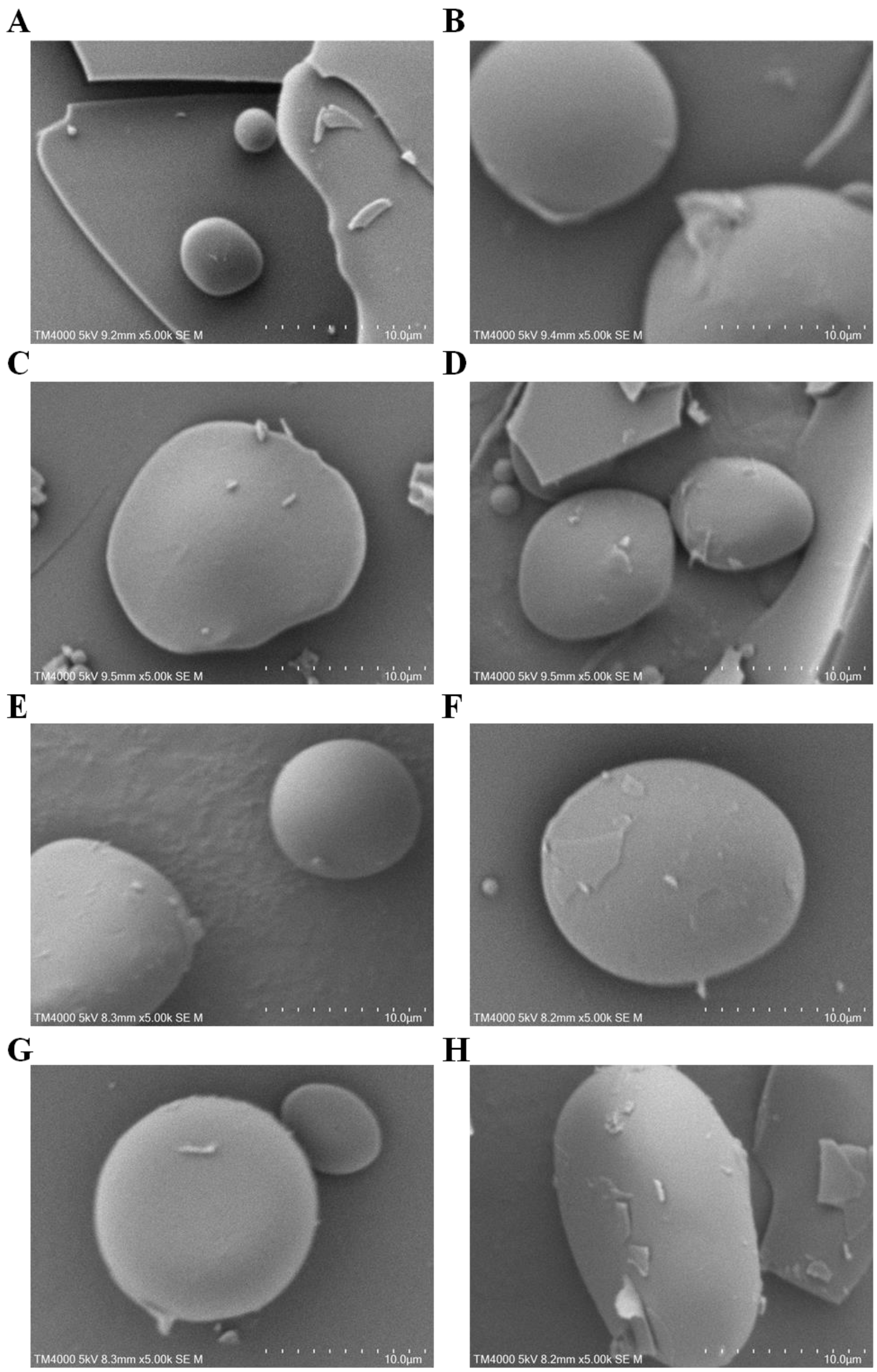 Foods 12 02913 g005 Foods 12 02913 g005