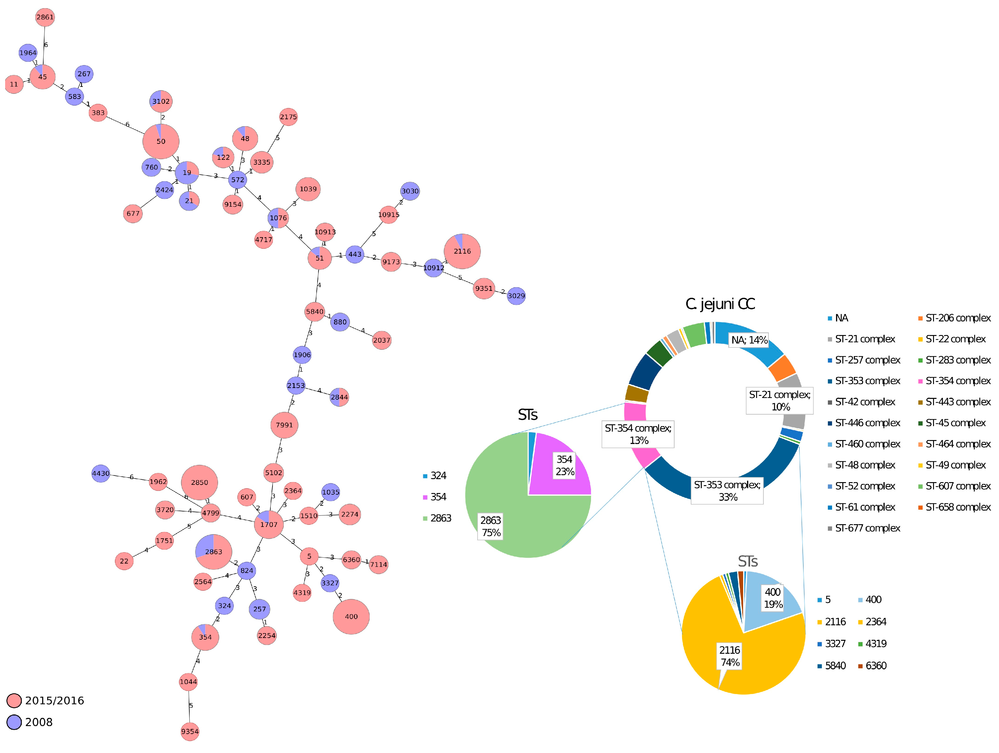 Foods 12 02919 g001 Foods 12 02919 g001