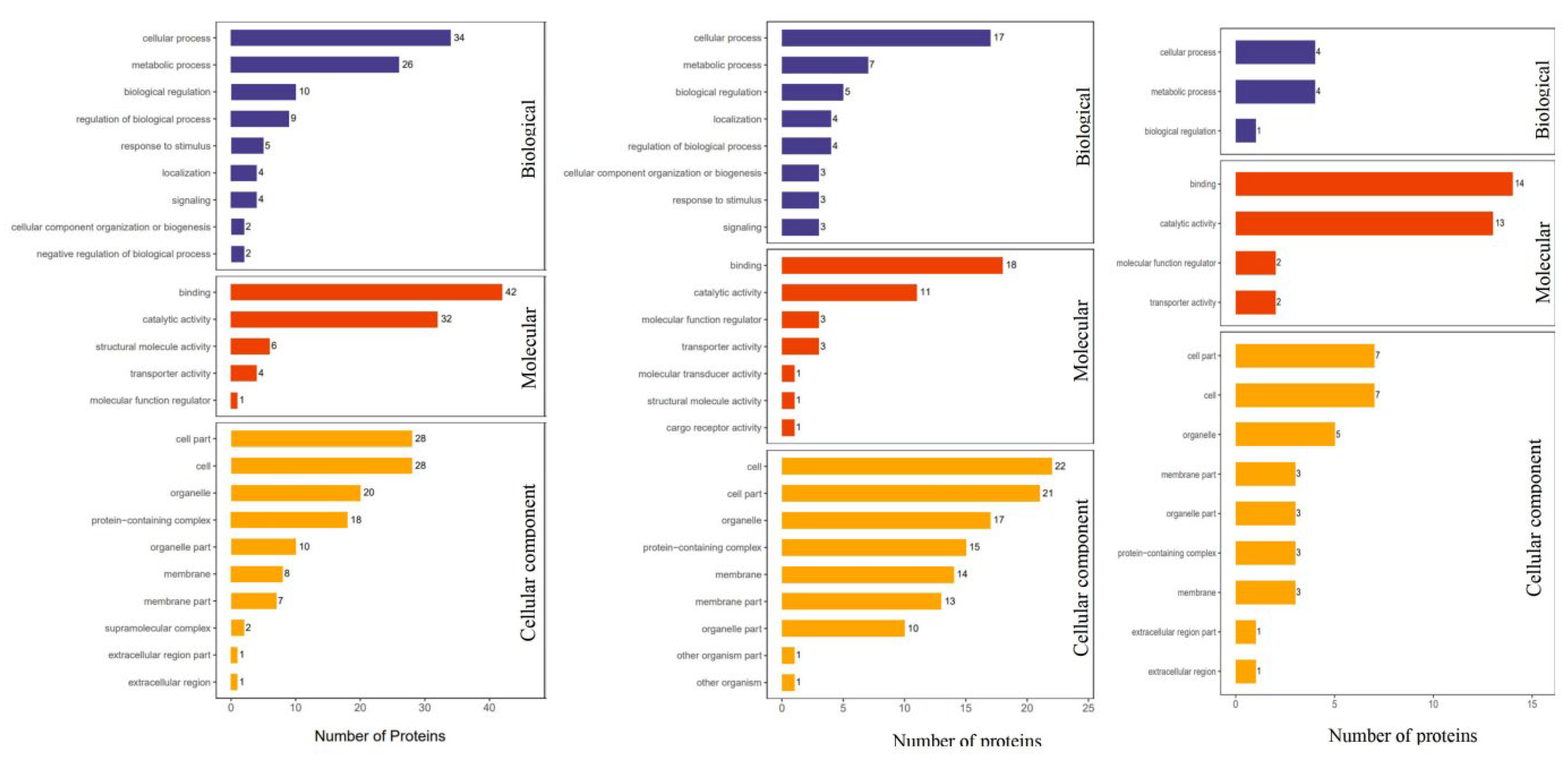 Foods 12 02920 g003 Foods 12 02920 g003