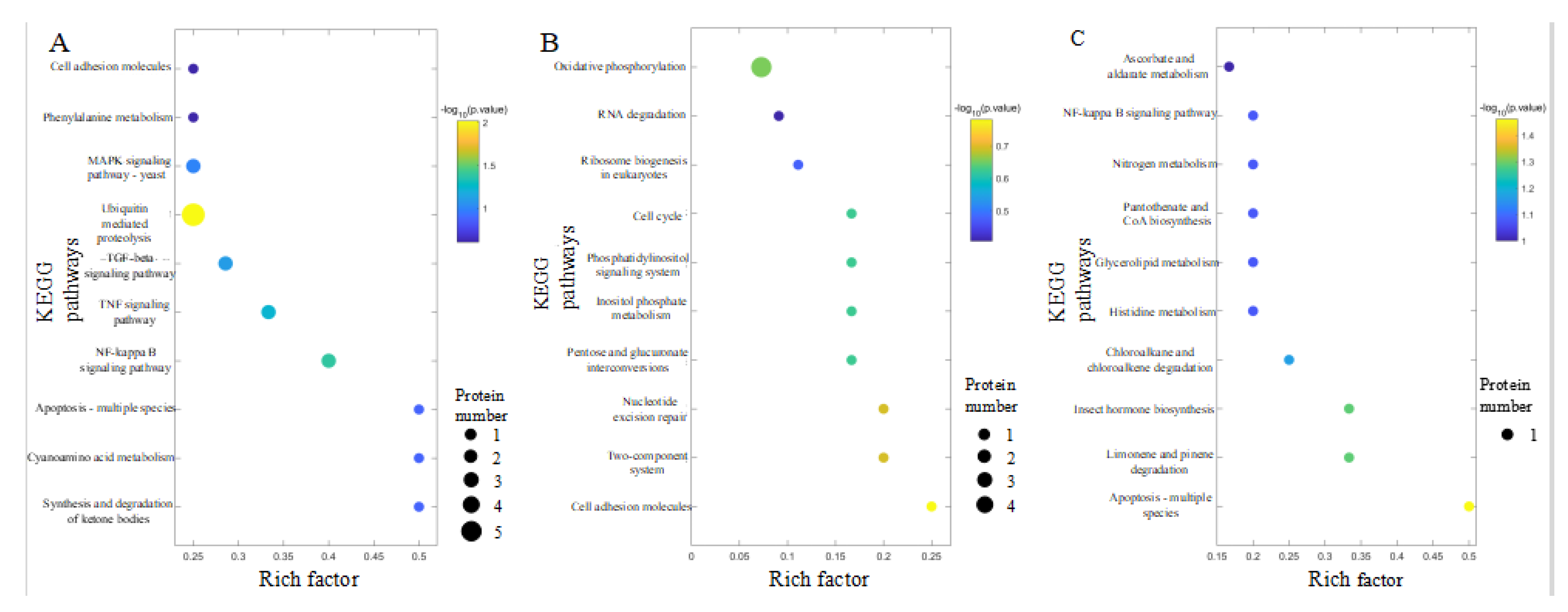 Foods 12 02920 g004 Foods 12 02920 g004