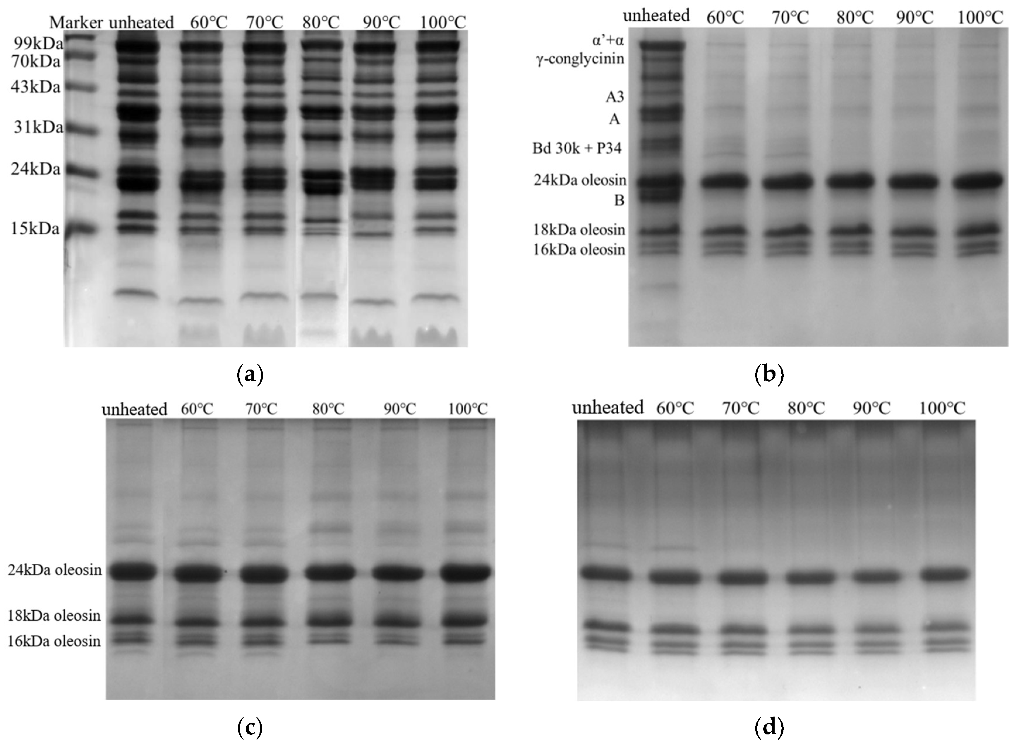Foods 12 02942 g001 Foods 12 02942 g001