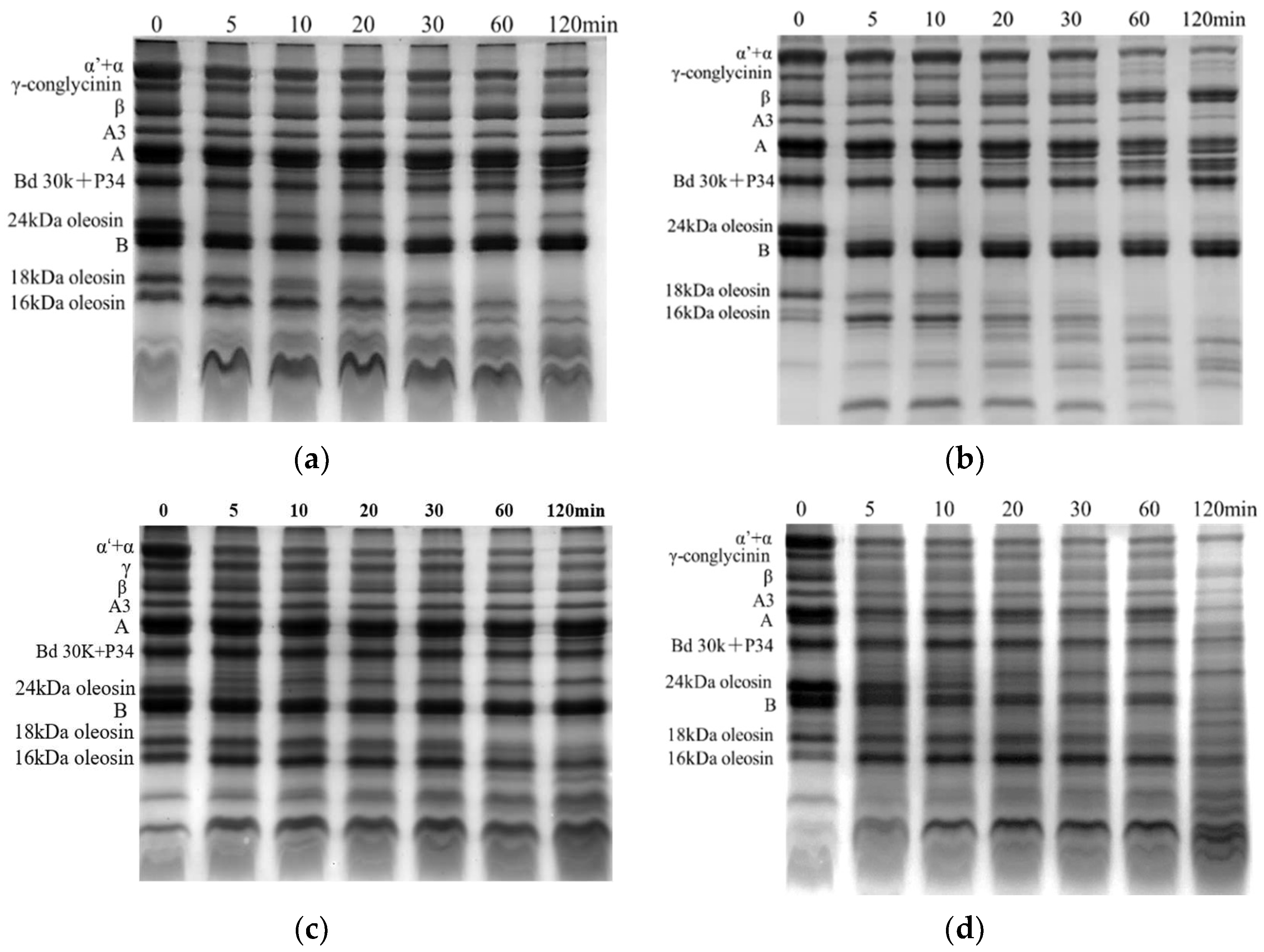 Foods 12 02942 g003a Foods 12 02942 g003a