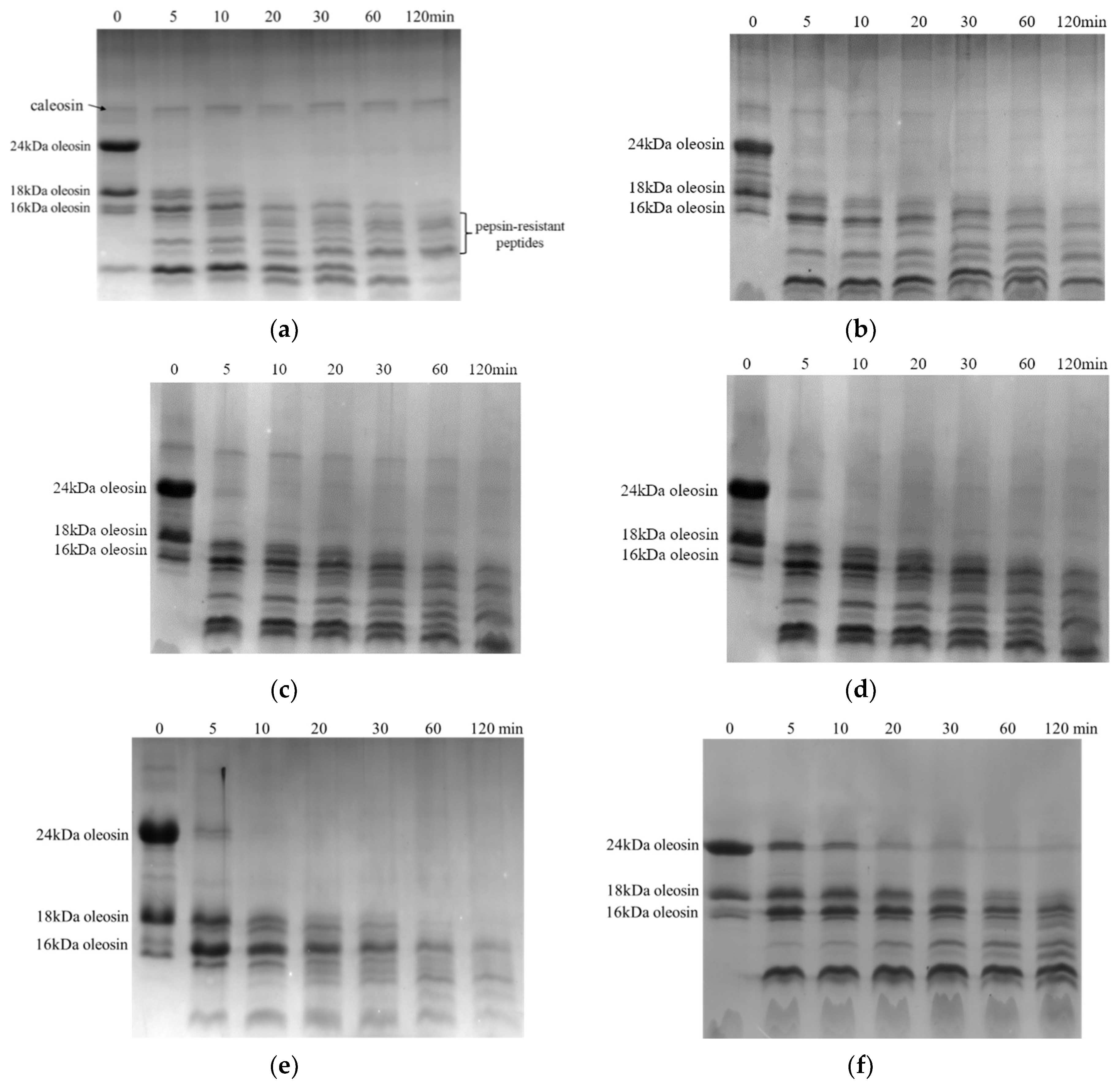 Foods 12 02942 g004 Foods 12 02942 g004