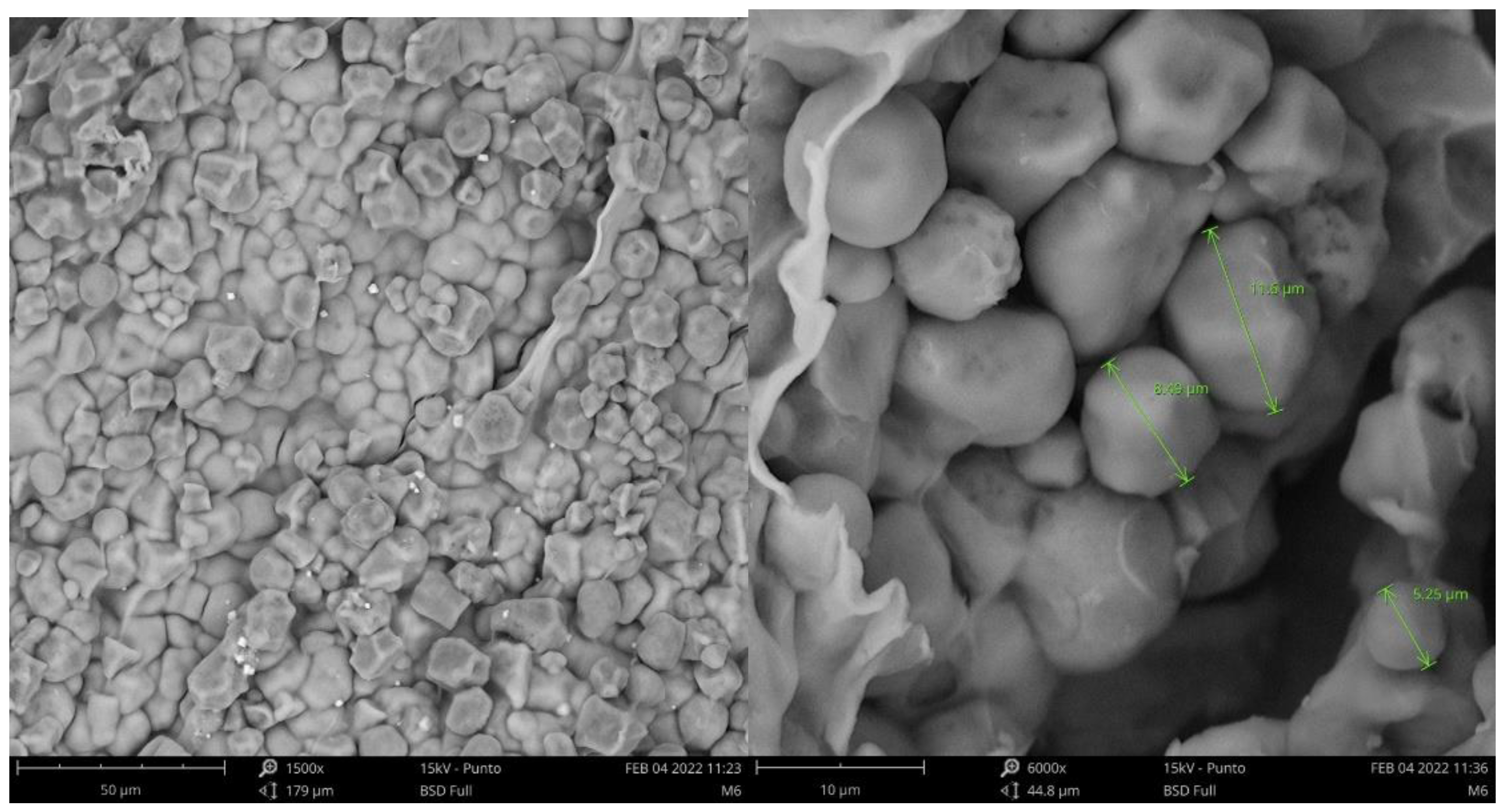 Foods 12 02943 g003 Foods 12 02943 g003