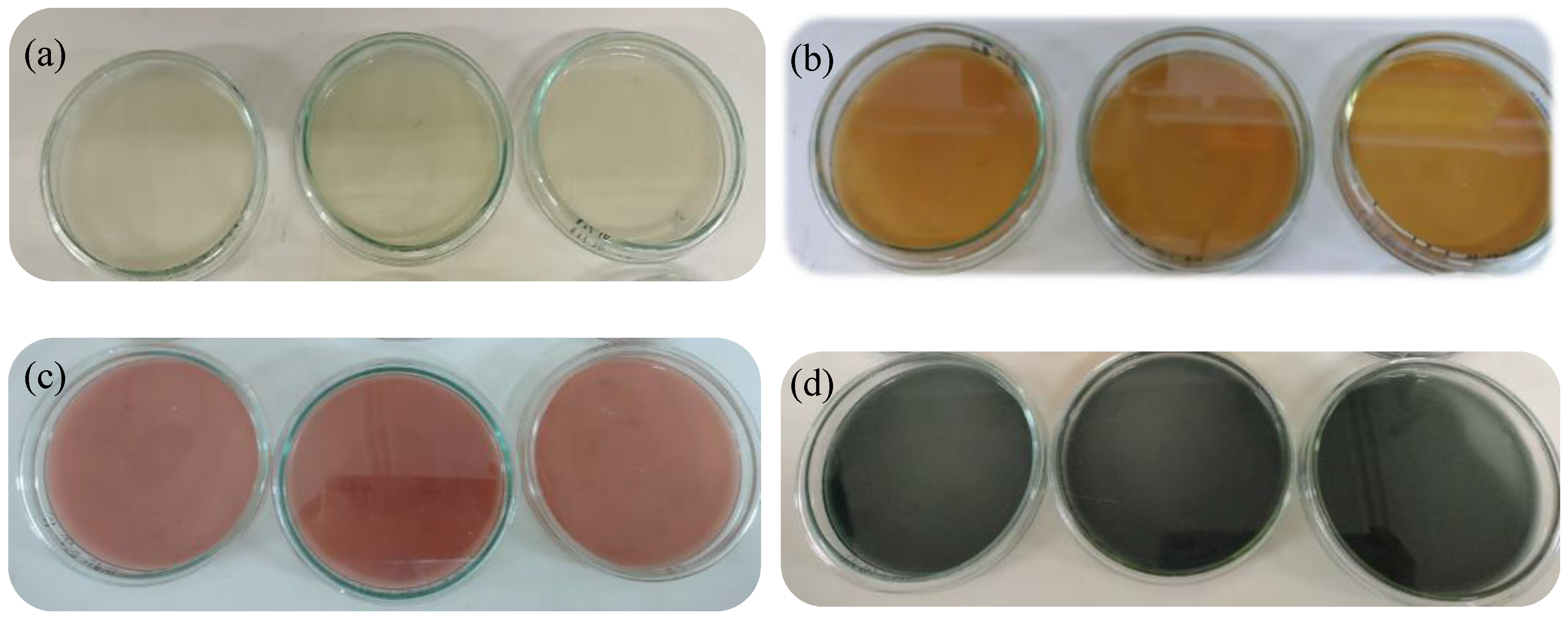 Foods 12 02943 g006 Foods 12 02943 g006