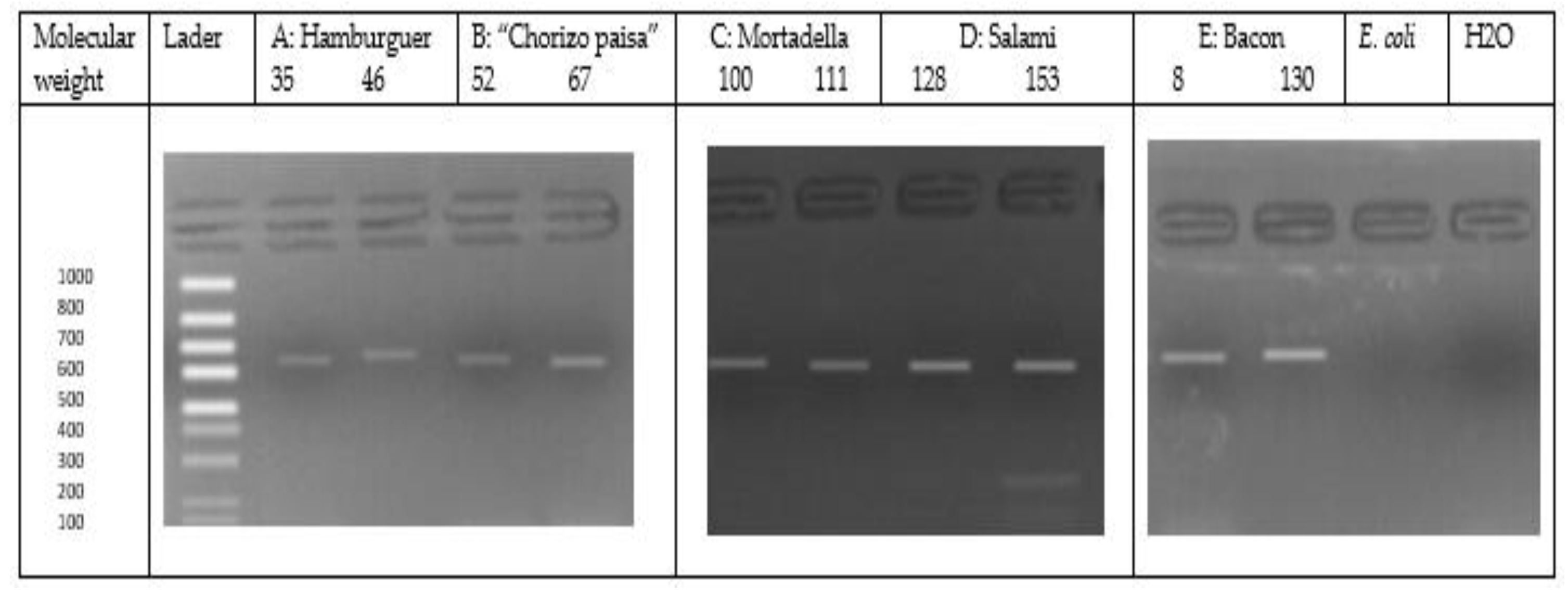 Foods 12 02956 g001 Foods 12 02956 g001