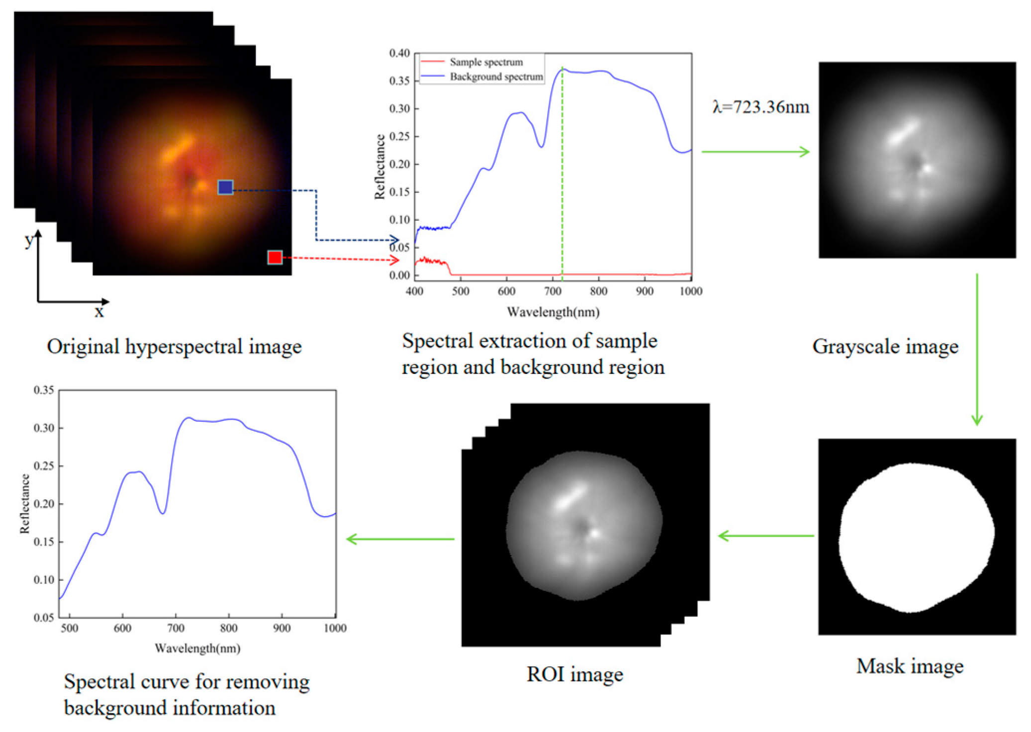 Foods 12 02957 g001 Foods 12 02957 g001