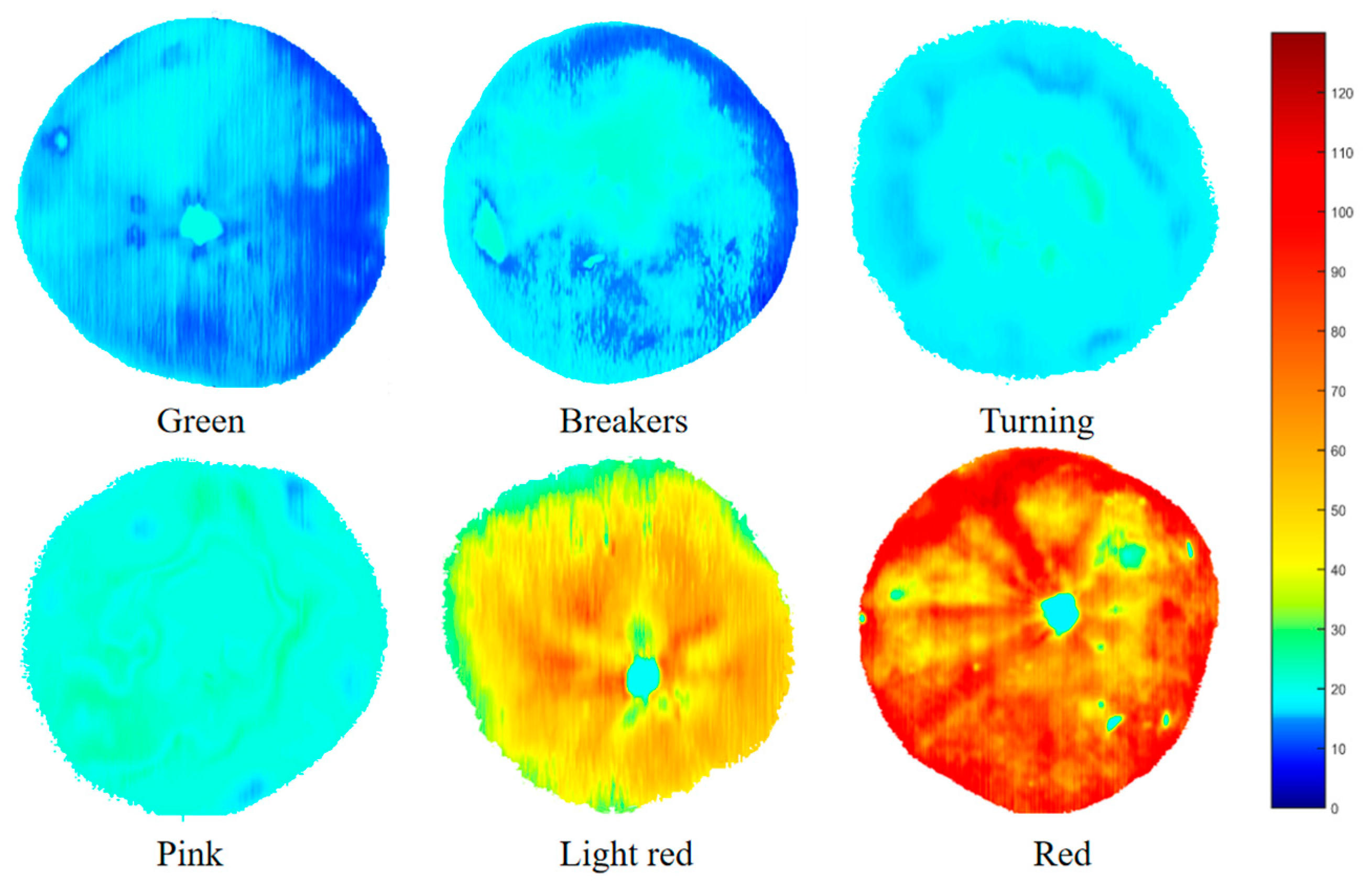 Foods 12 02957 g007 Foods 12 02957 g007
